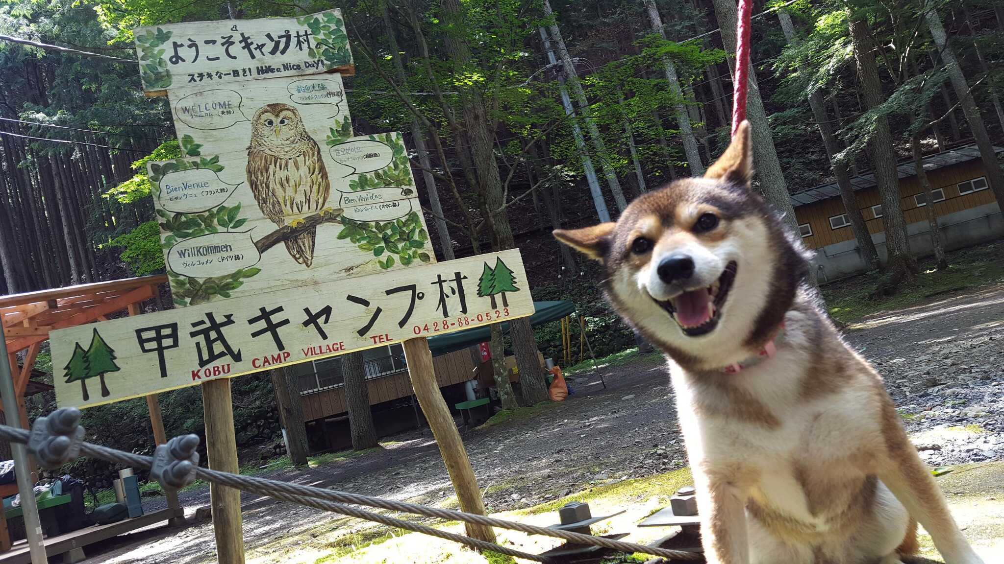 愛犬とキャンプ場入口にて
