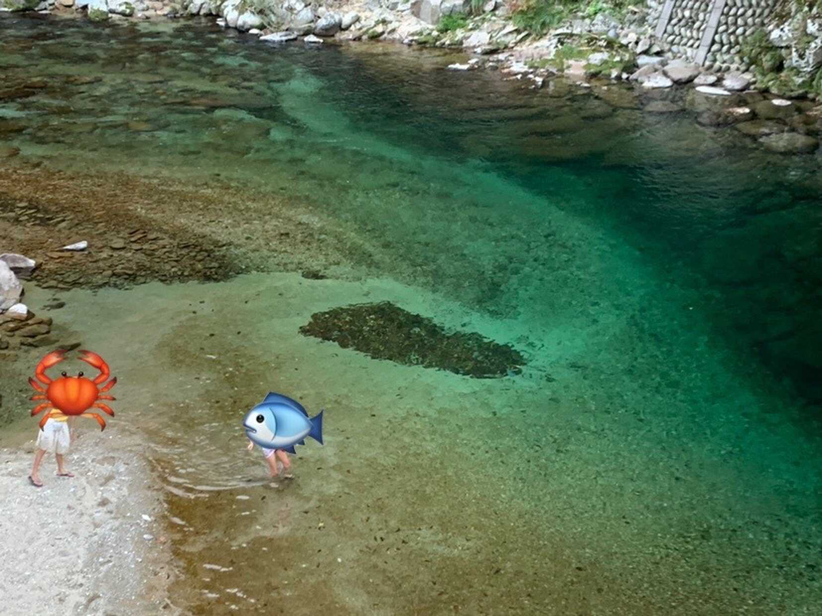 6人向けバンガローのバルコニー