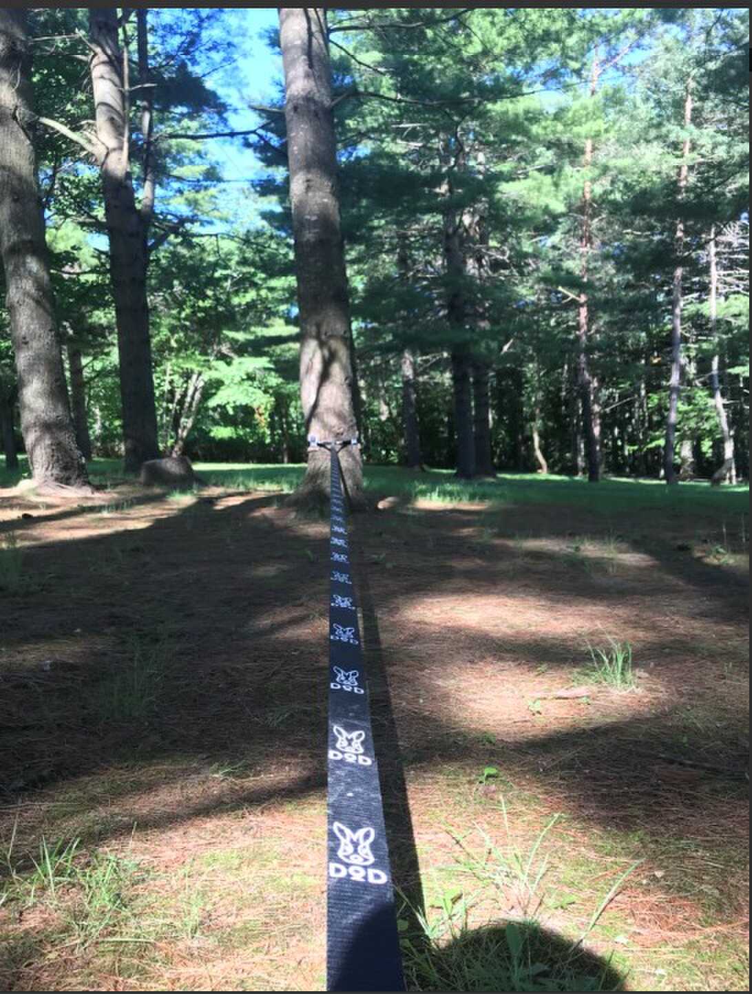 エルム高原家族旅行村の写真 4枚目