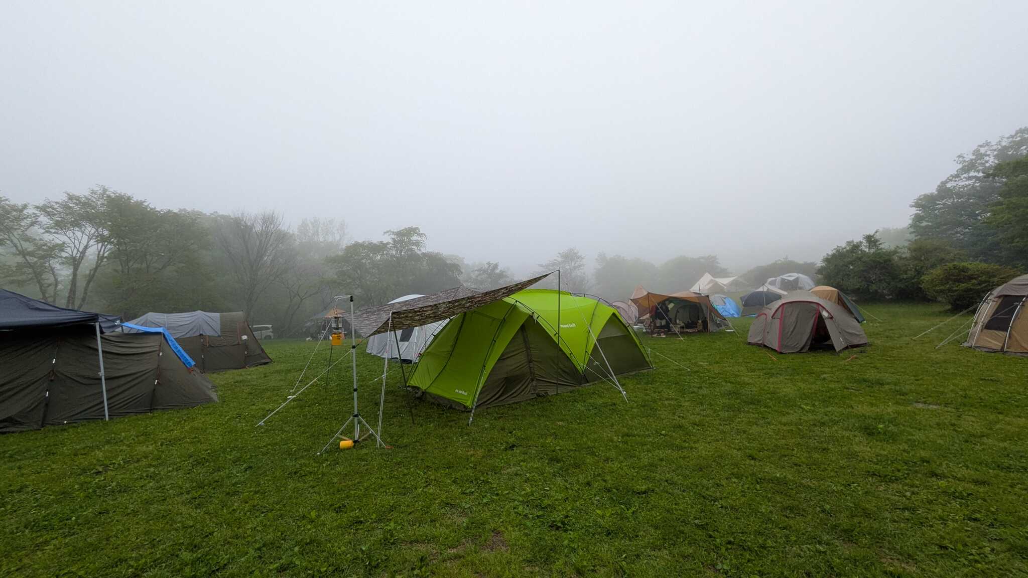 朝は霧に包まれました