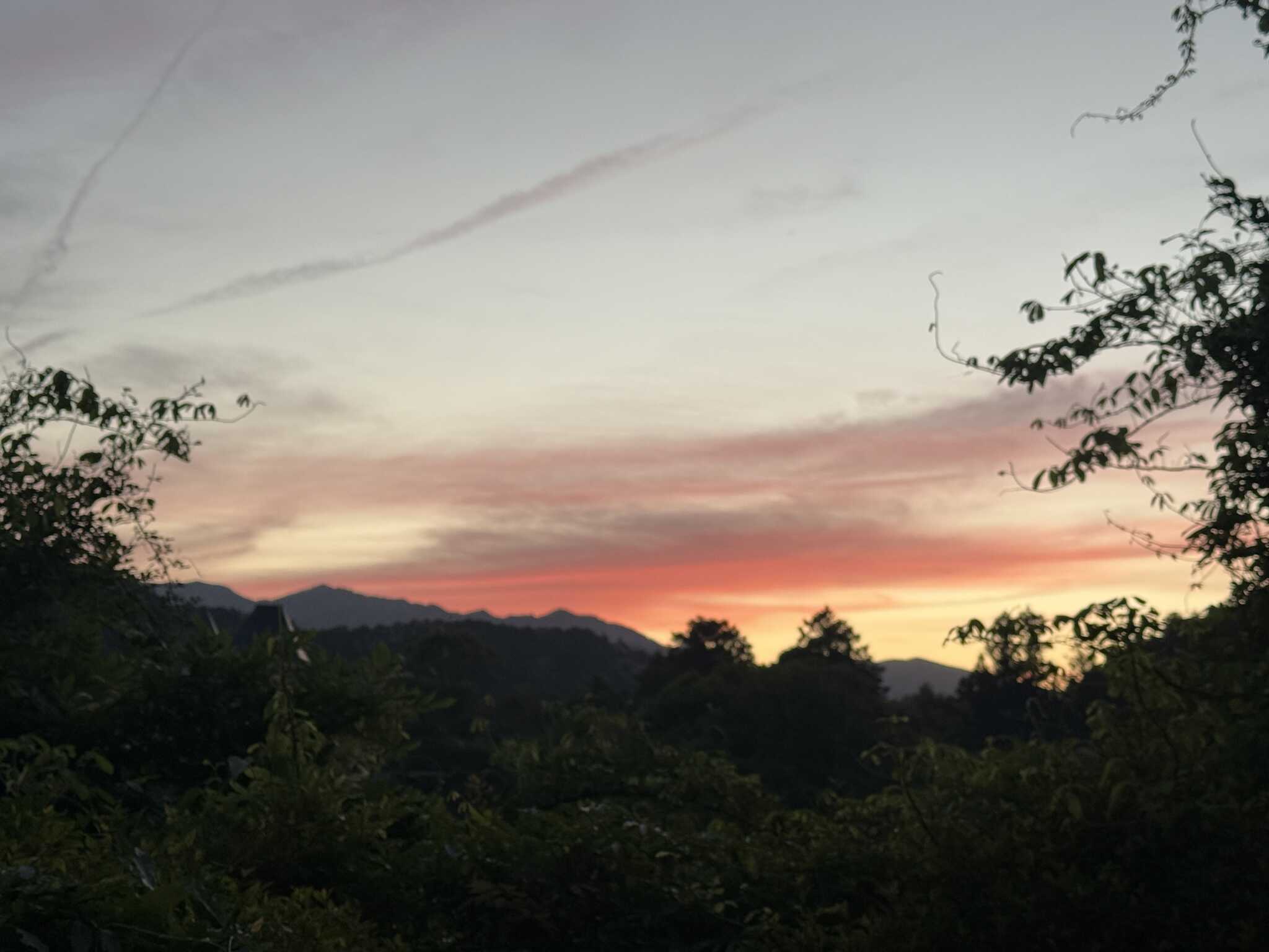 夕方