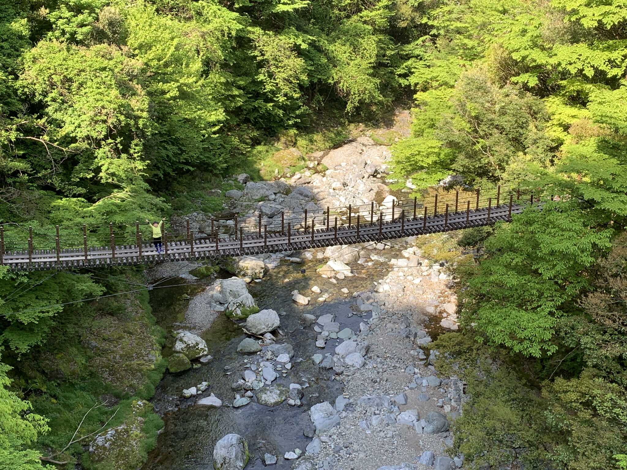 近くの吊り橋