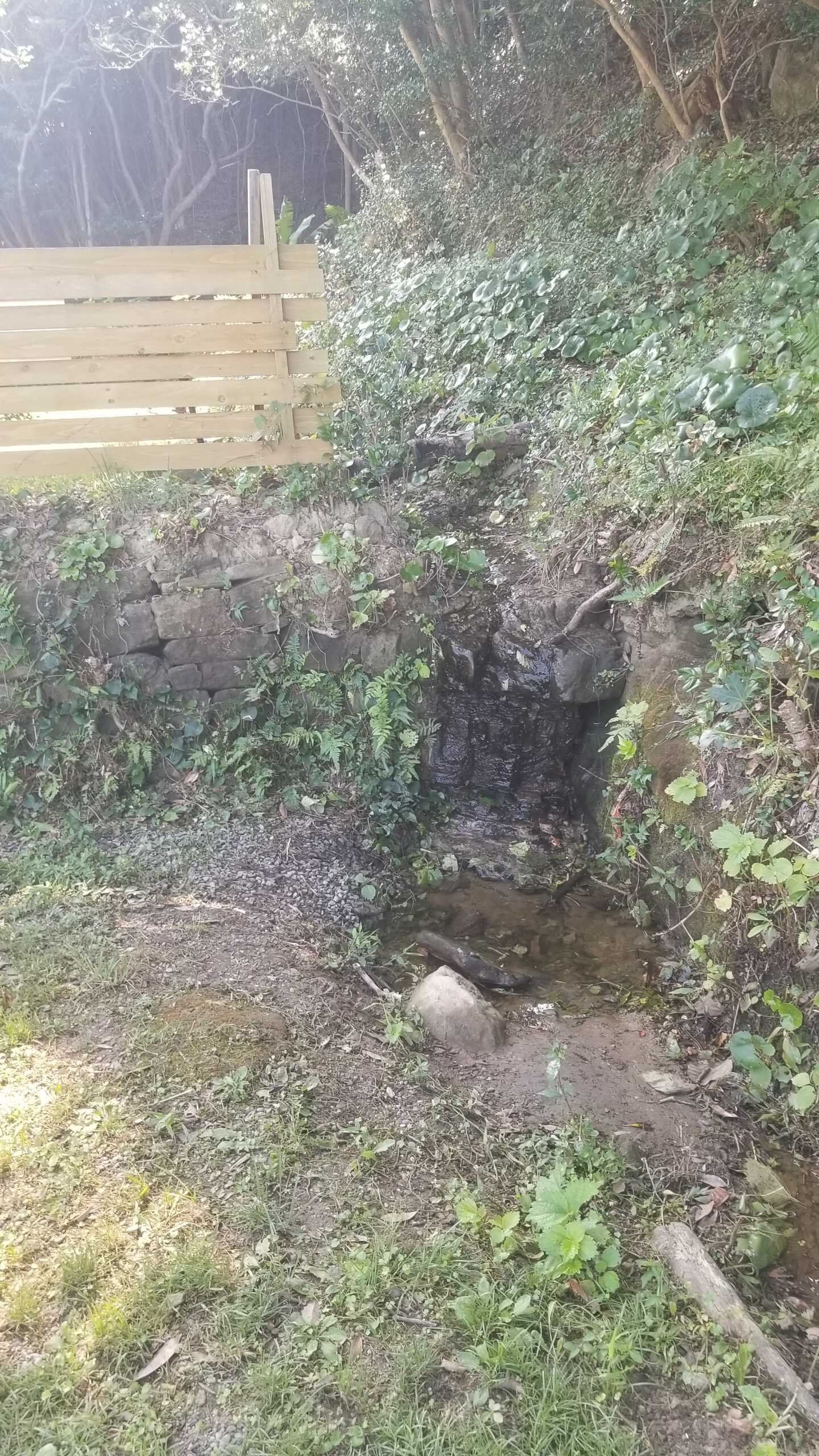 滝!?