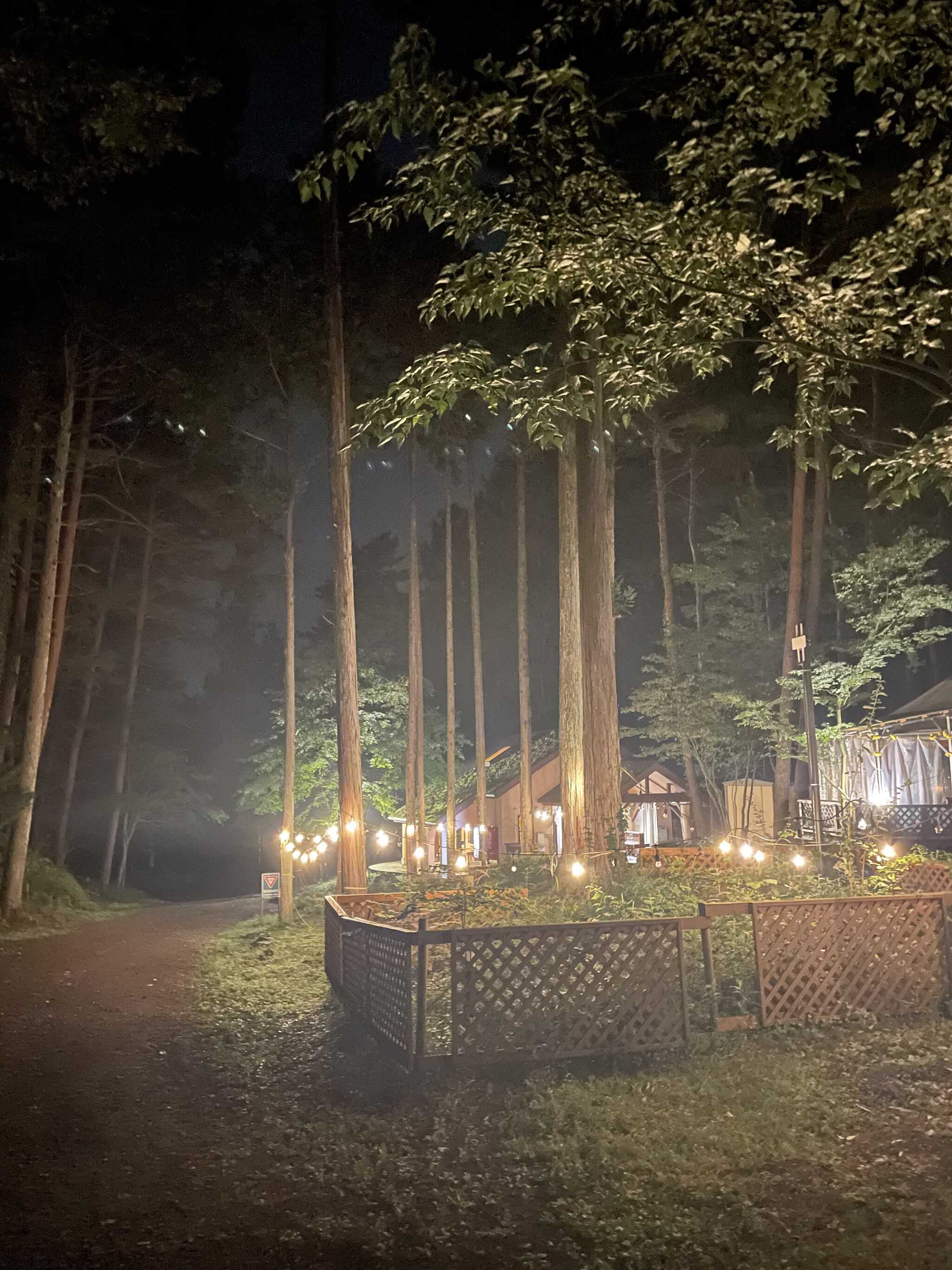 夜のパオ前