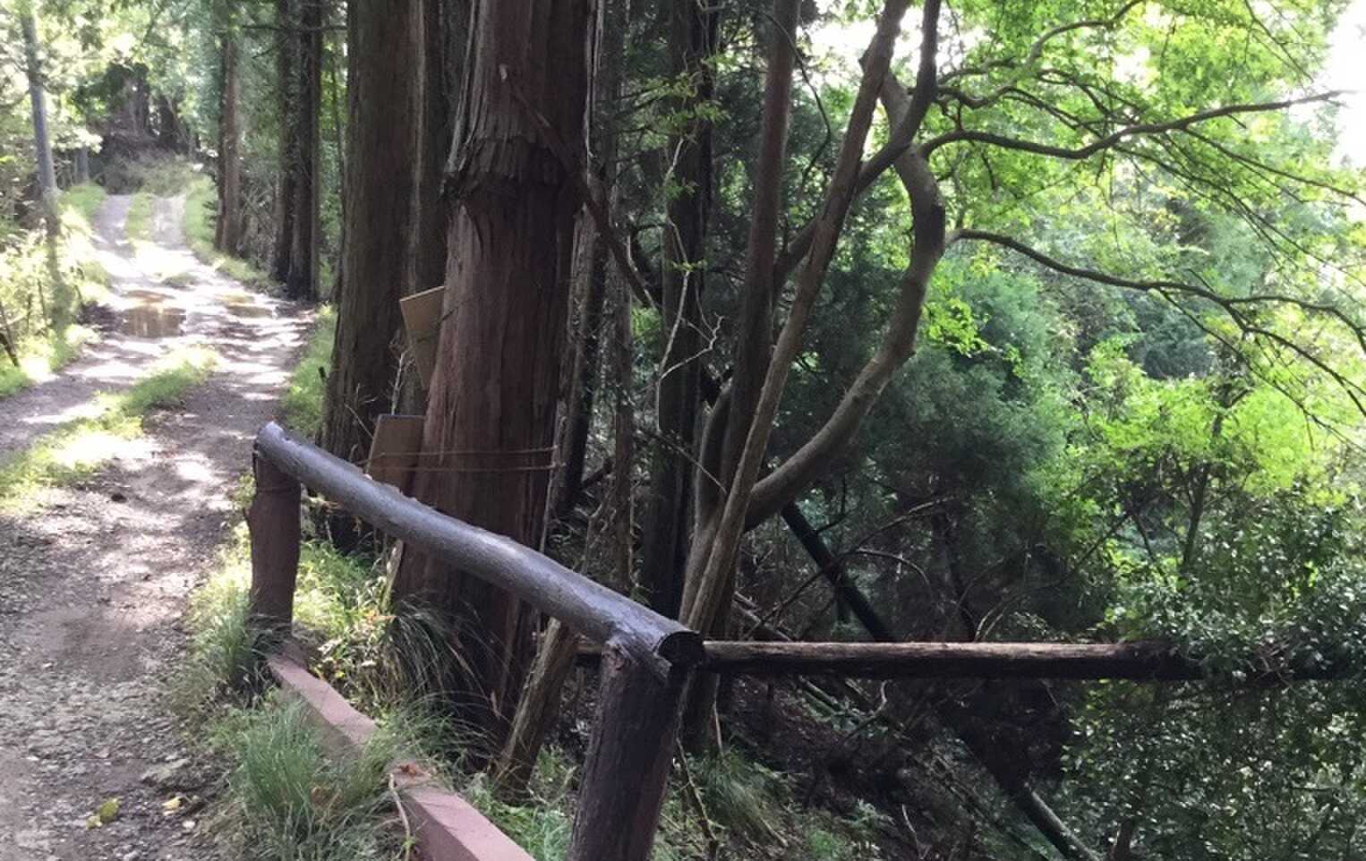 道は細い