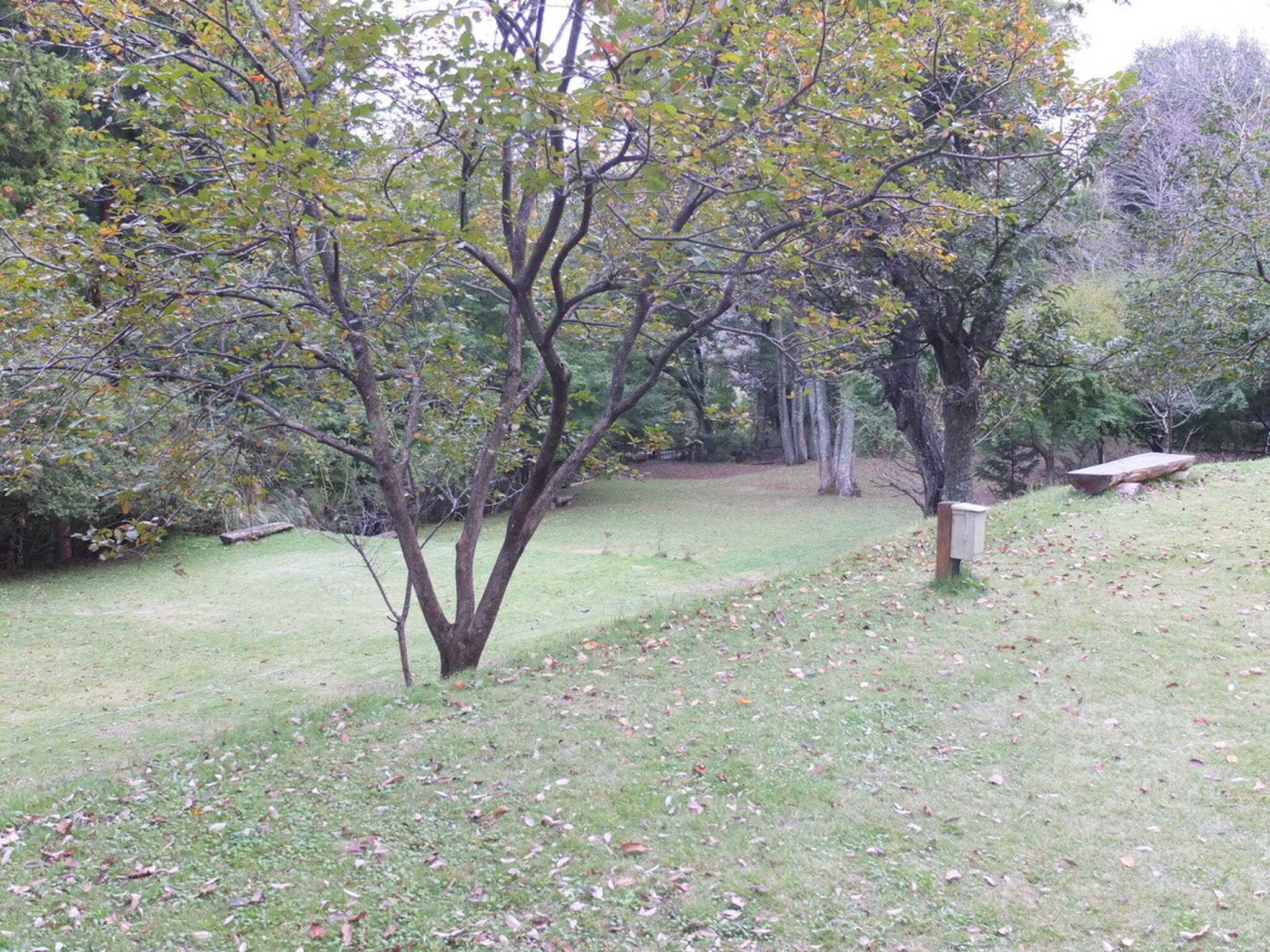 オートキャンプ場志駒の写真 2枚目