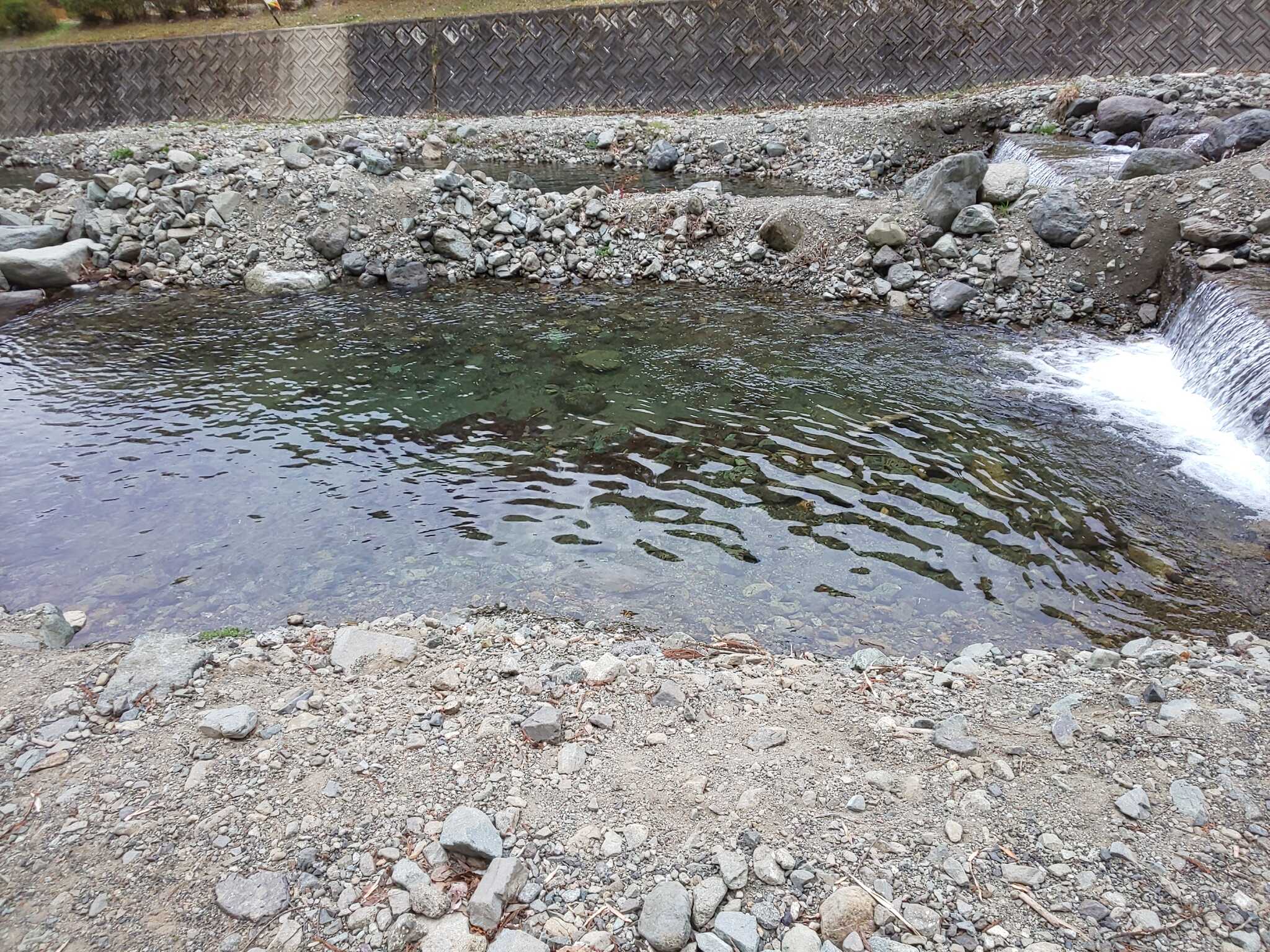 釣りができるエリア(いけすのように区切られています)