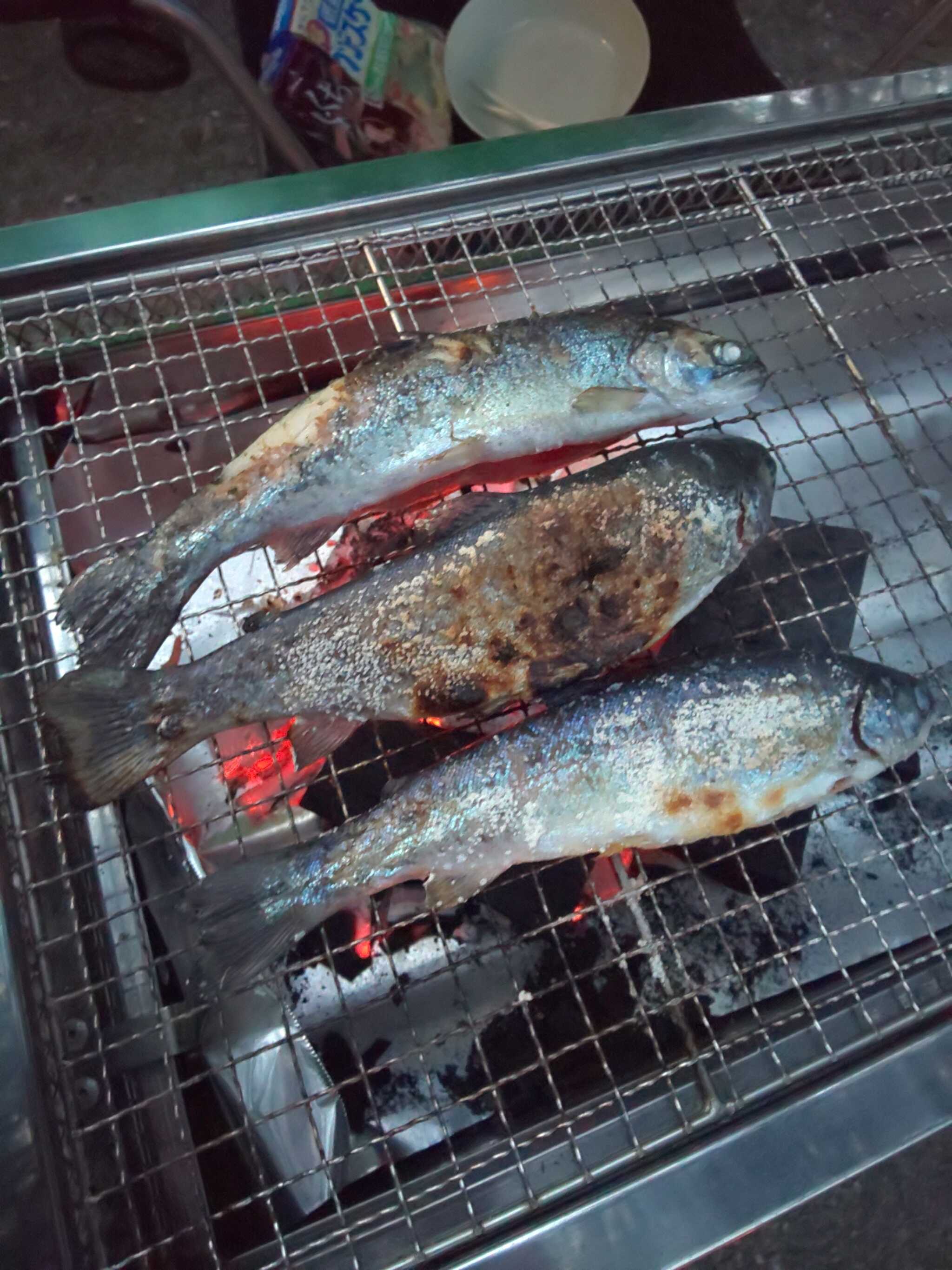 魚は自分で砂漠化、有料でワタヌキをしてもらえます