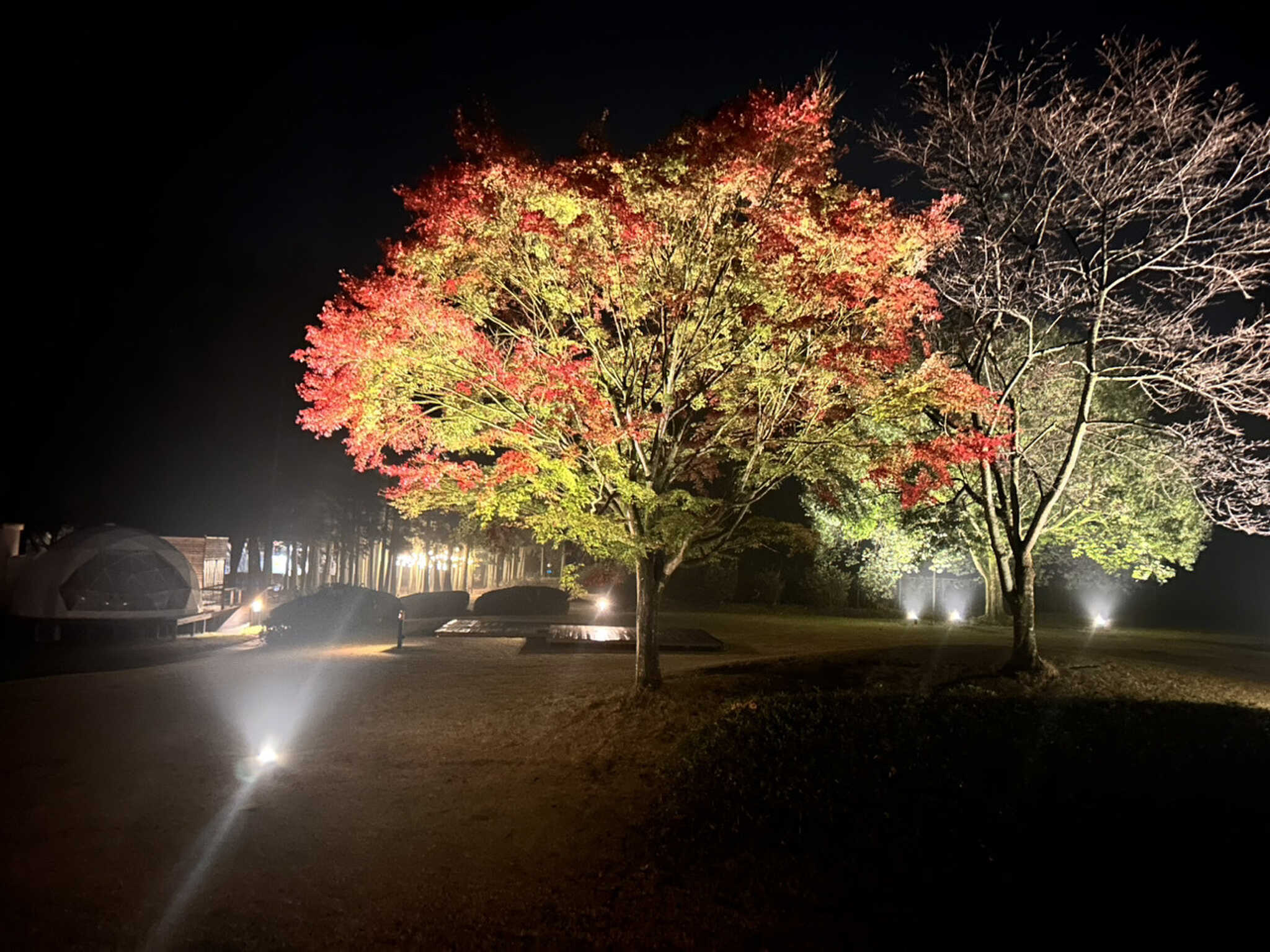 夜のライトアップは幻想的です