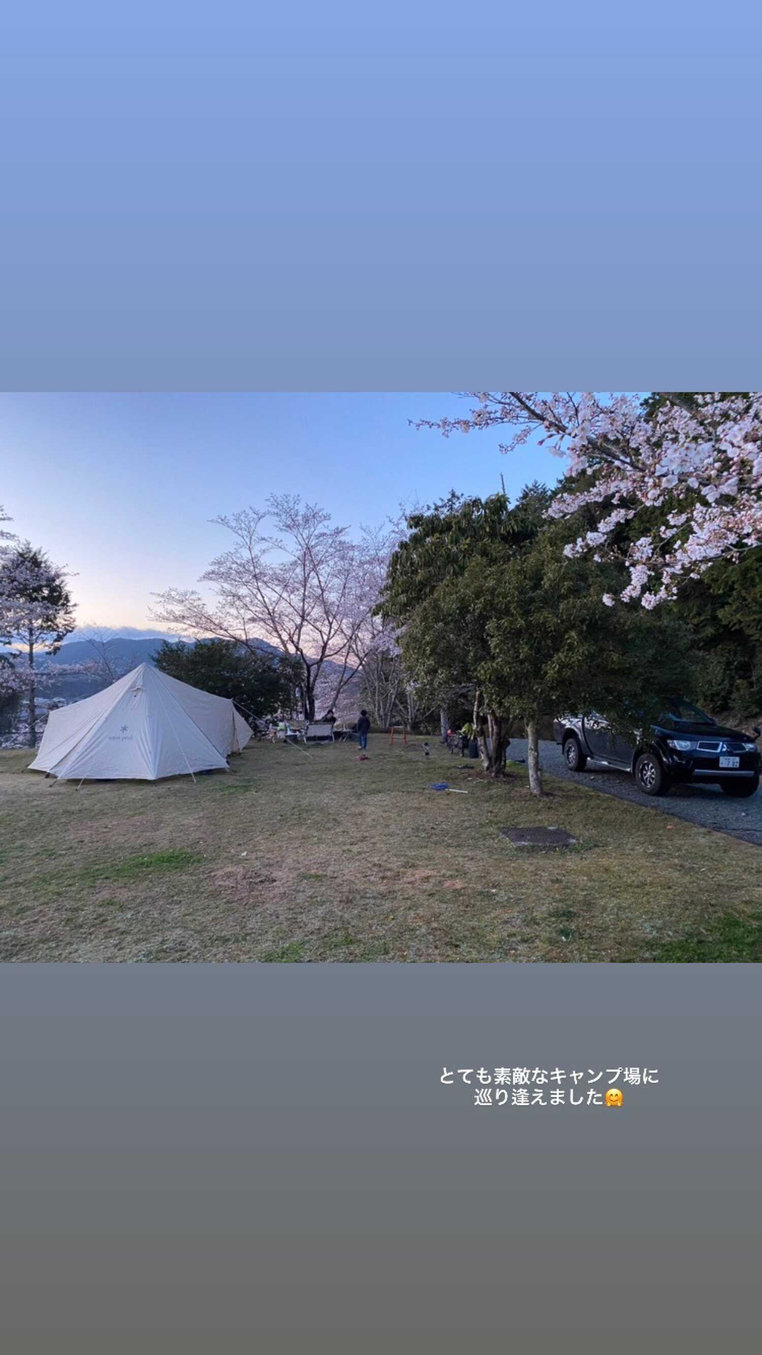 桜の下でお花見キャンプ
