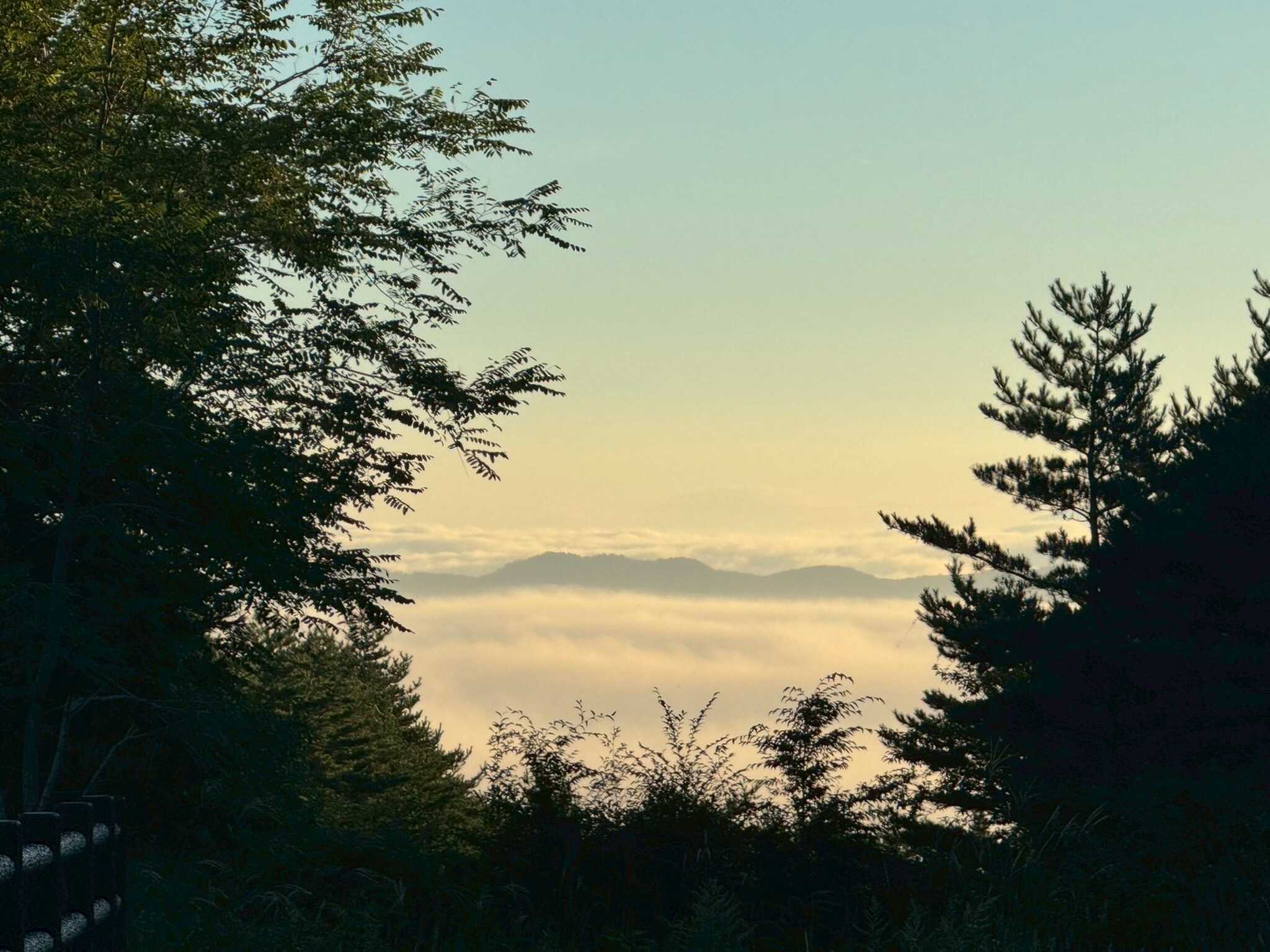 キャンプ場から見えた雲海