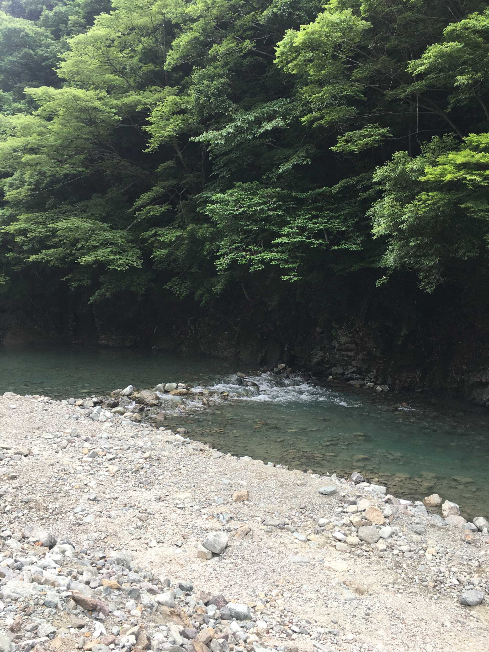 川遊びには最高!