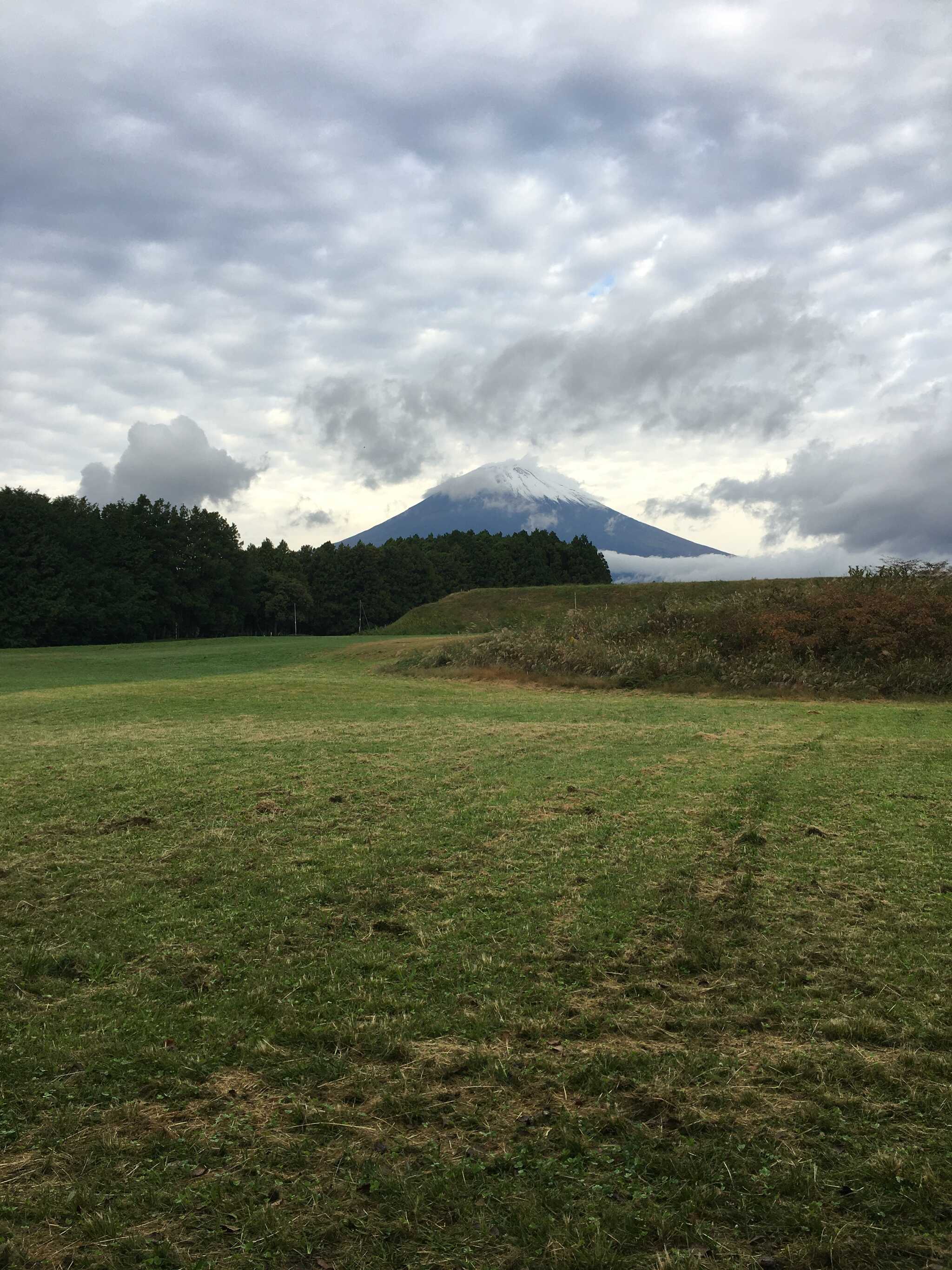 富士山が見えました