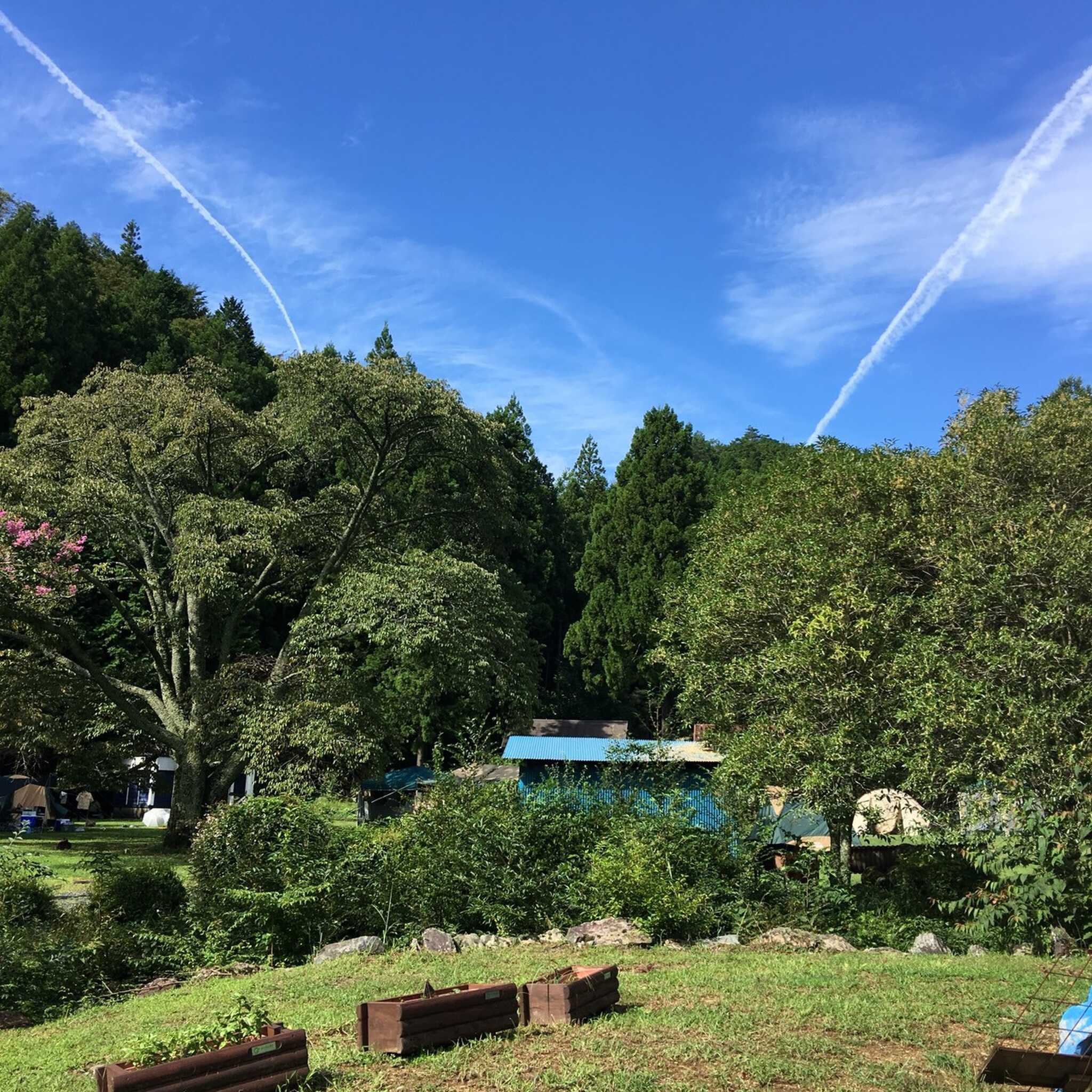 龍山秘密村の写真 2枚目