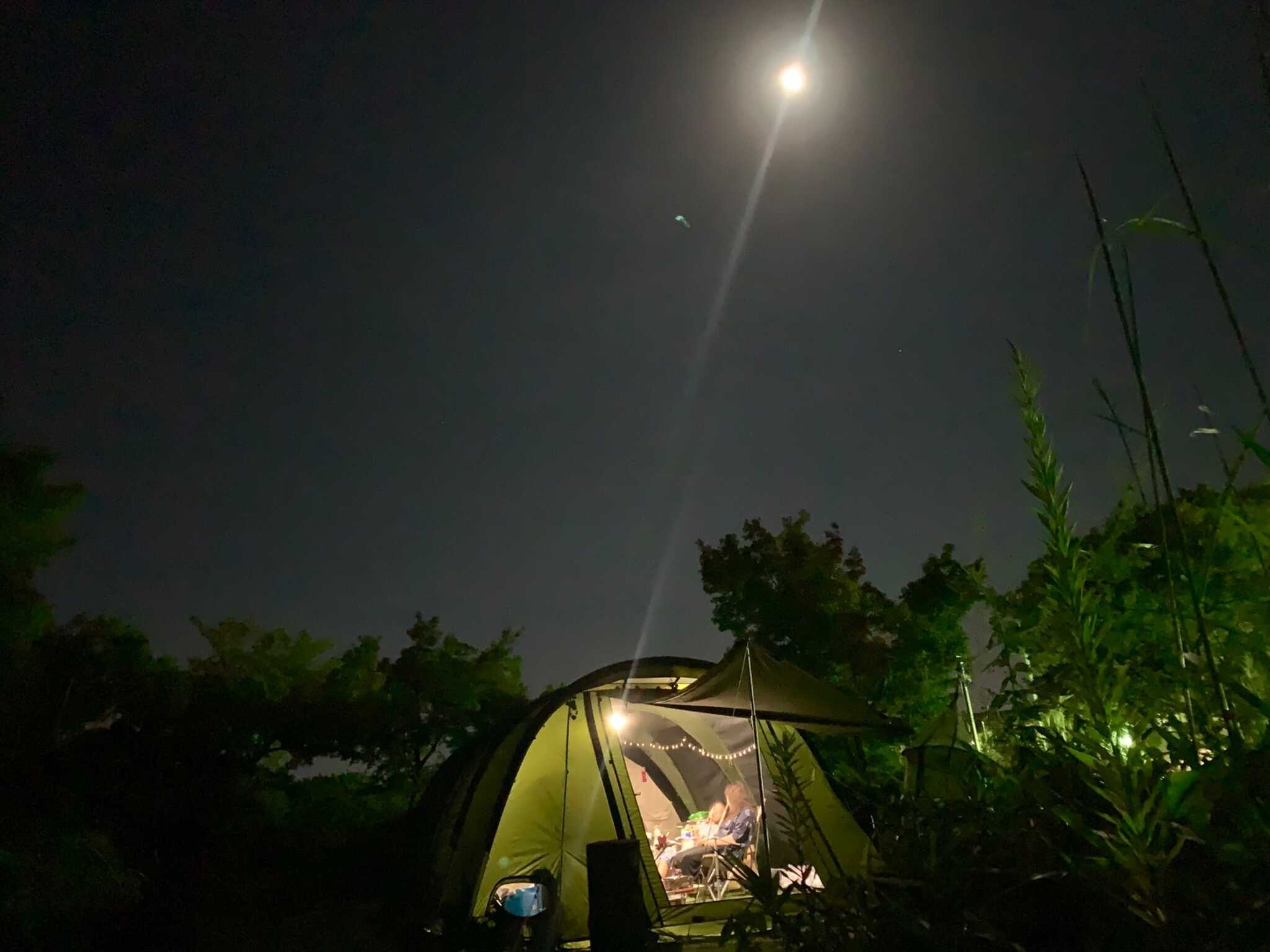 夜景