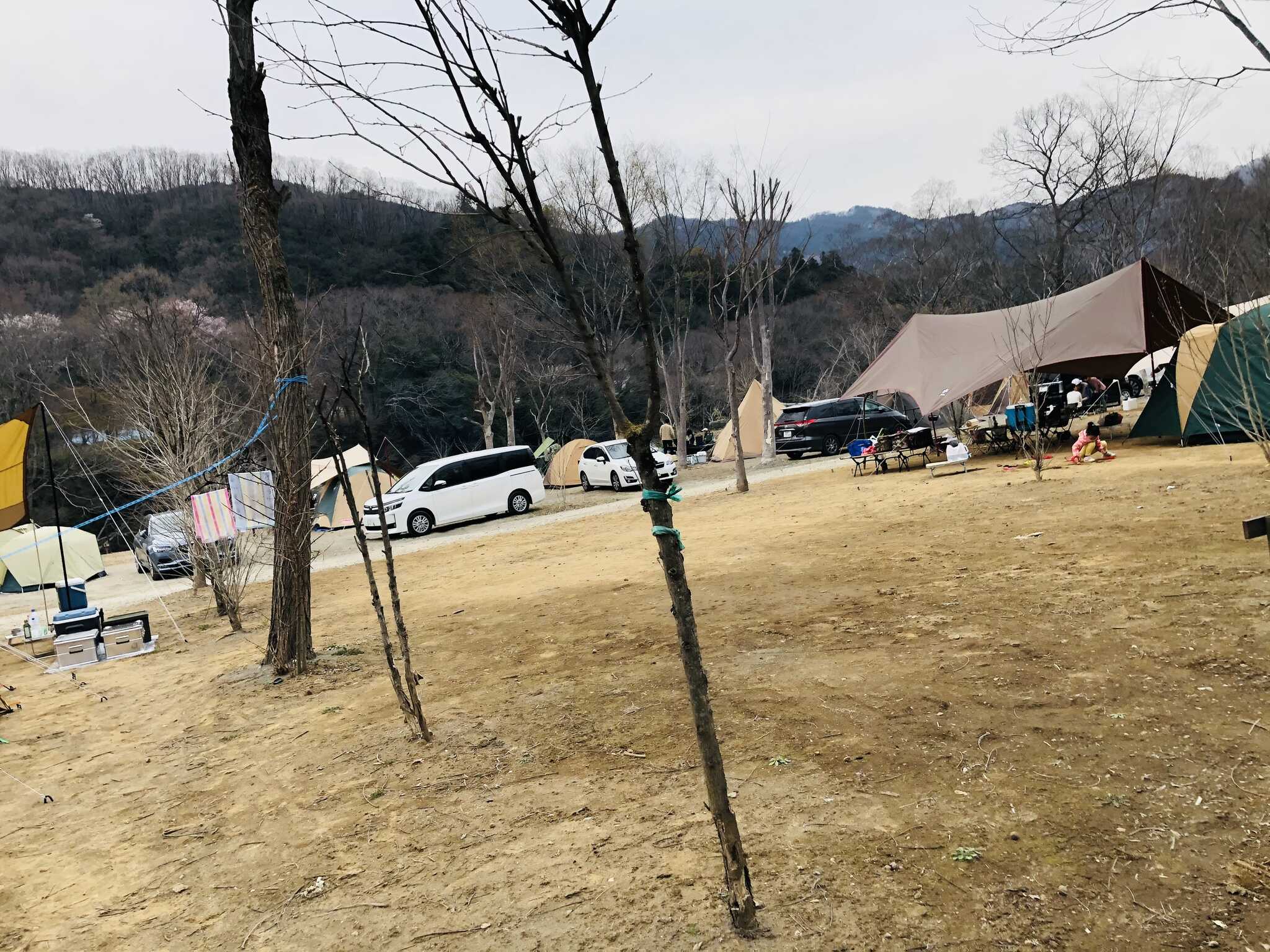キャンプ場中