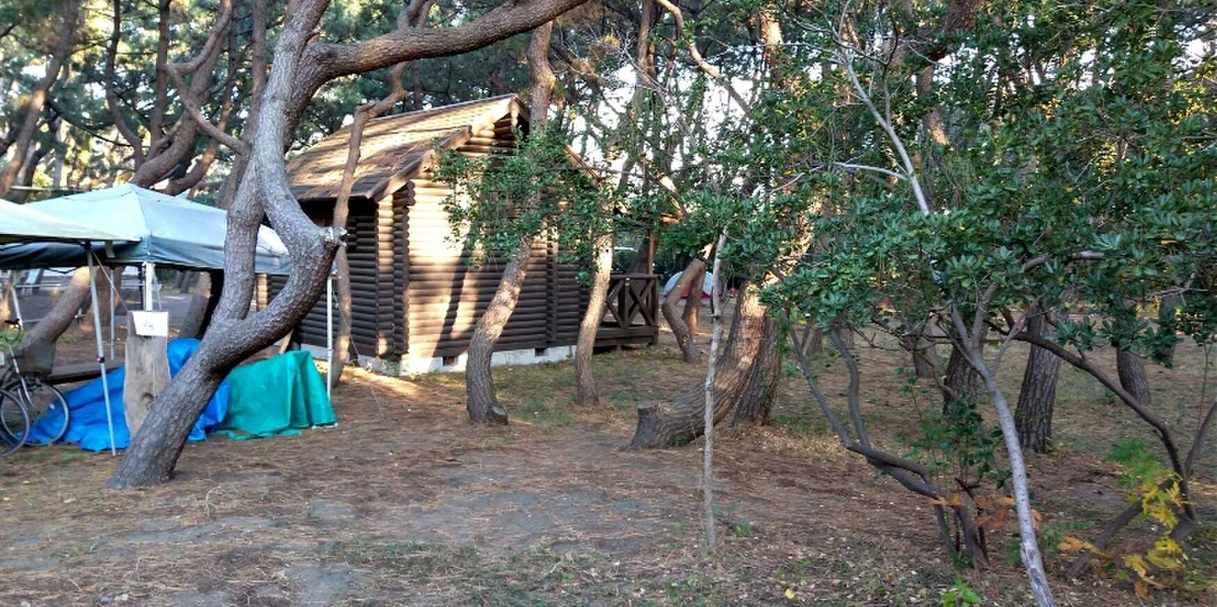 ちがさき柳島キャンプ場の写真 4枚目