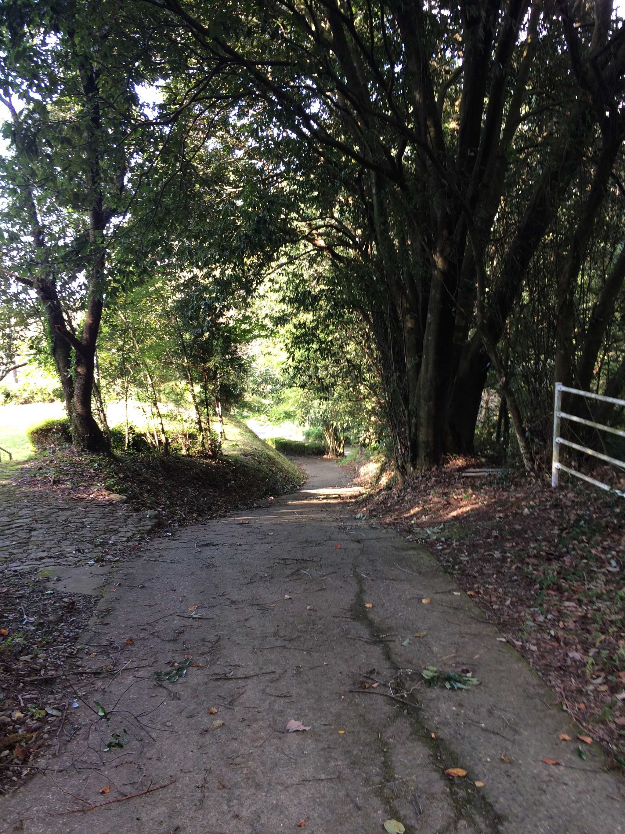 【H30/11現在 宿泊受け入れ中止中】発心公園キャンプ場の写真 1枚目