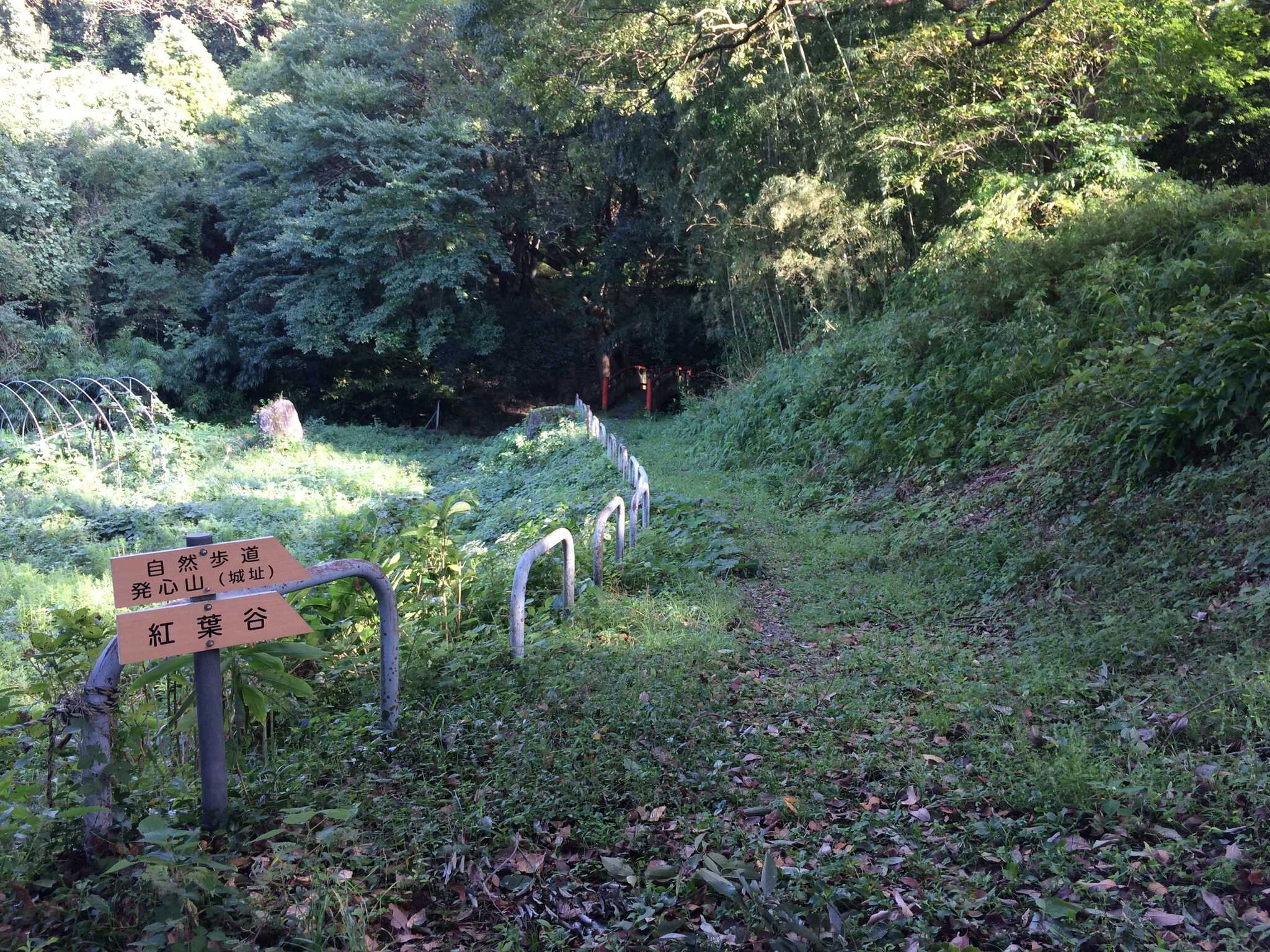 【H30/11現在 宿泊受け入れ中止中】発心公園キャンプ場の写真 2枚目