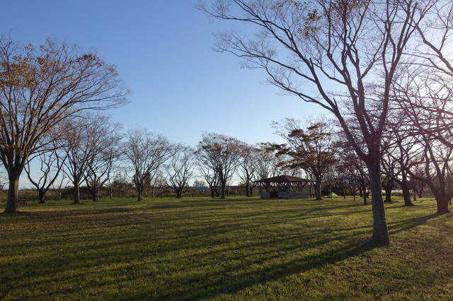 南の池公園・キャンプ場の写真 1枚目
