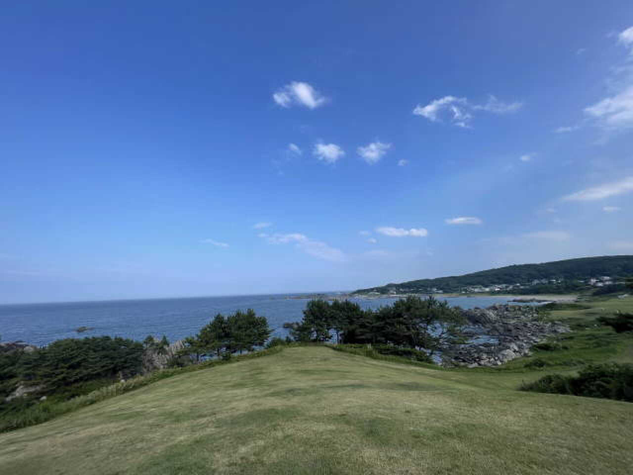 サイト全景