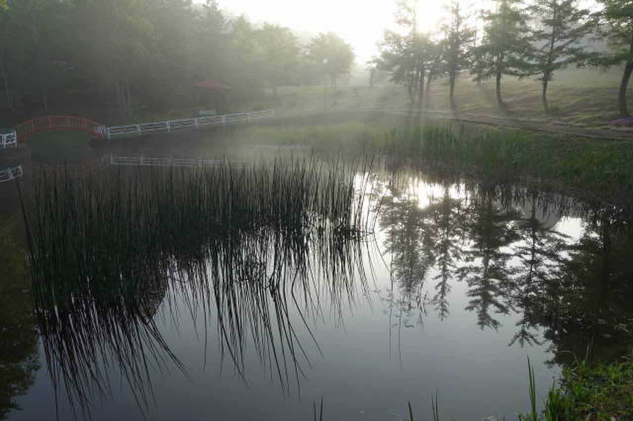 北竜町金比羅公園キャンプ場の写真 4枚目