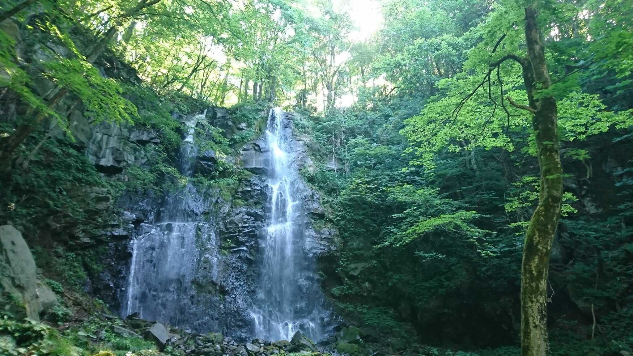 近場観光“友情の滝”