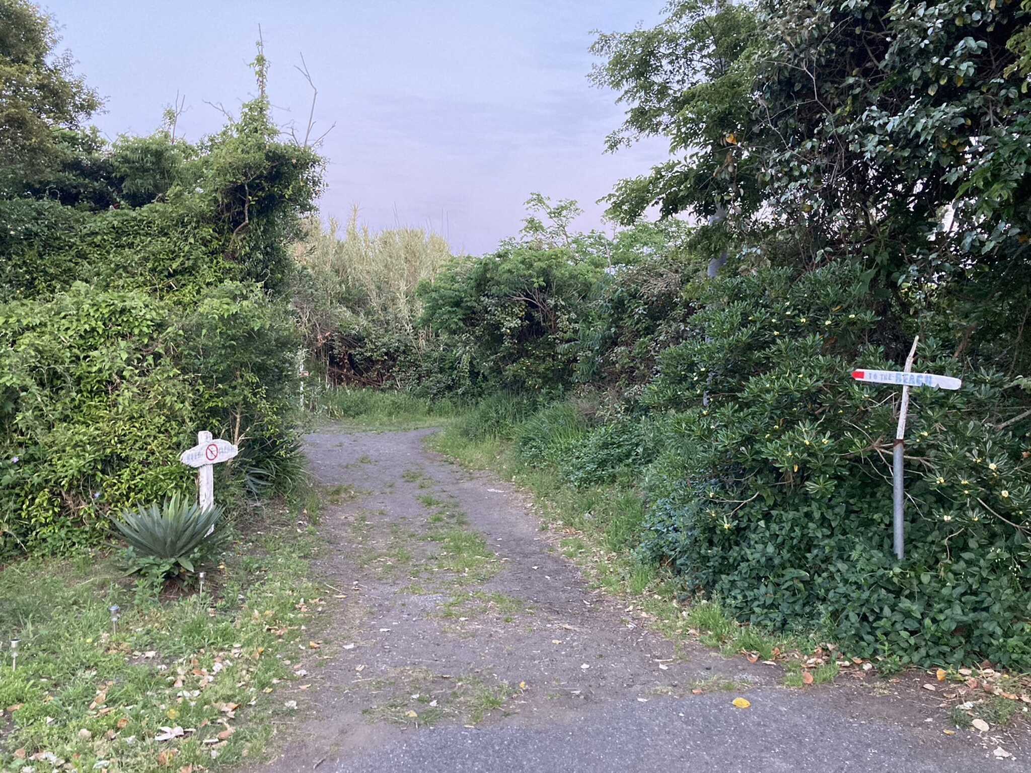 海岸への通路
