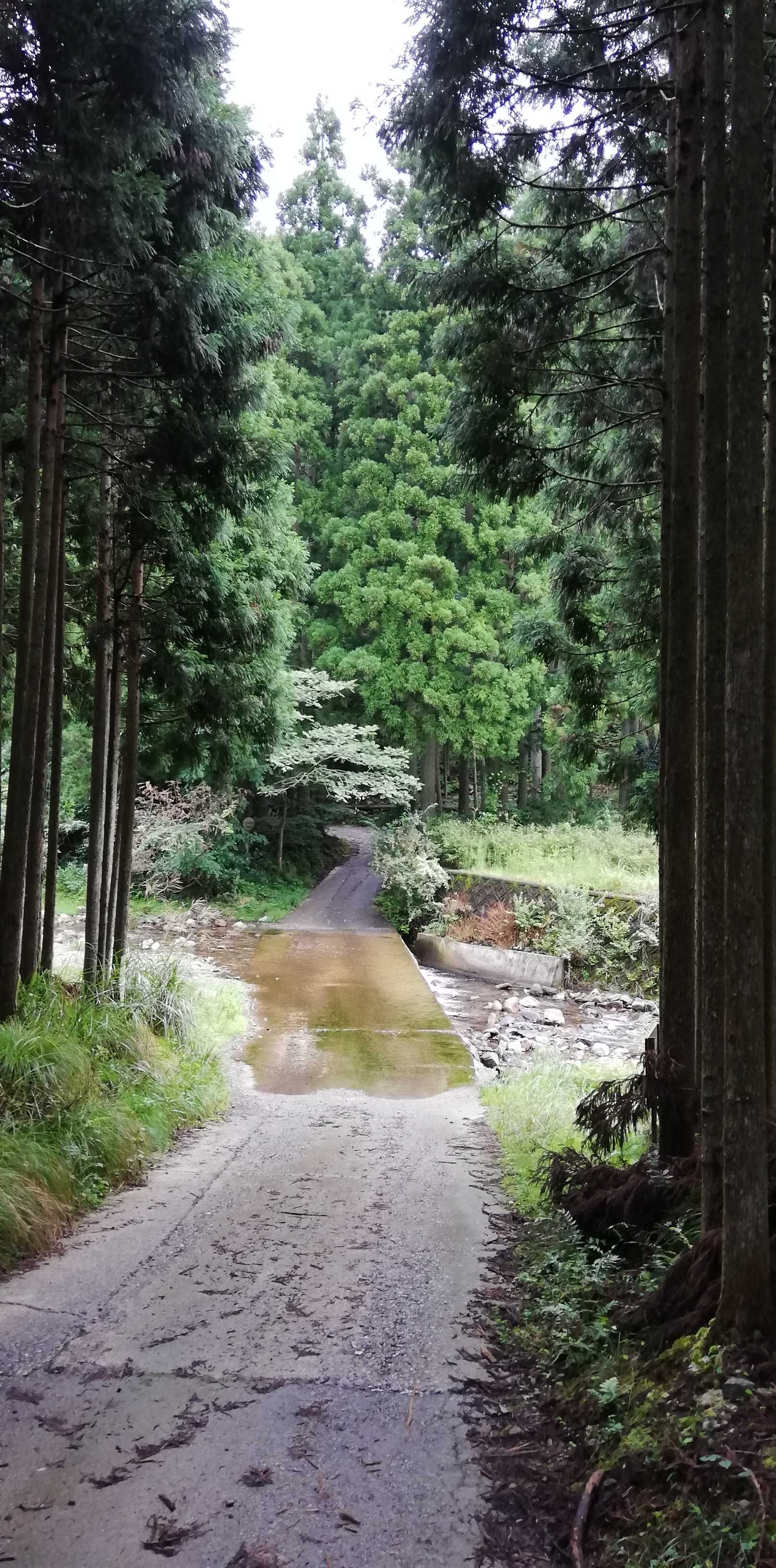 静原キャンプ場