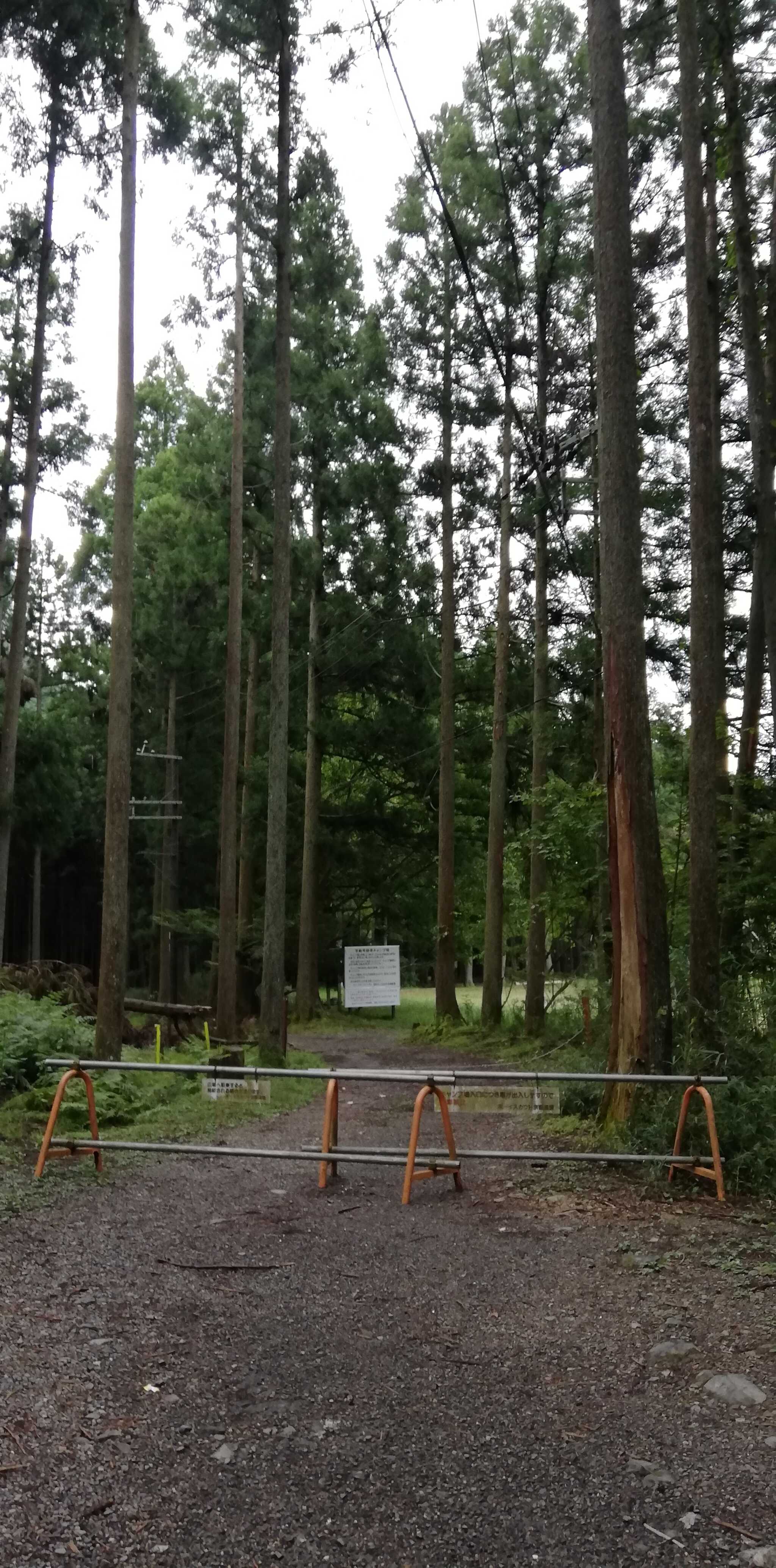 静原キャンプ場の写真 3枚目