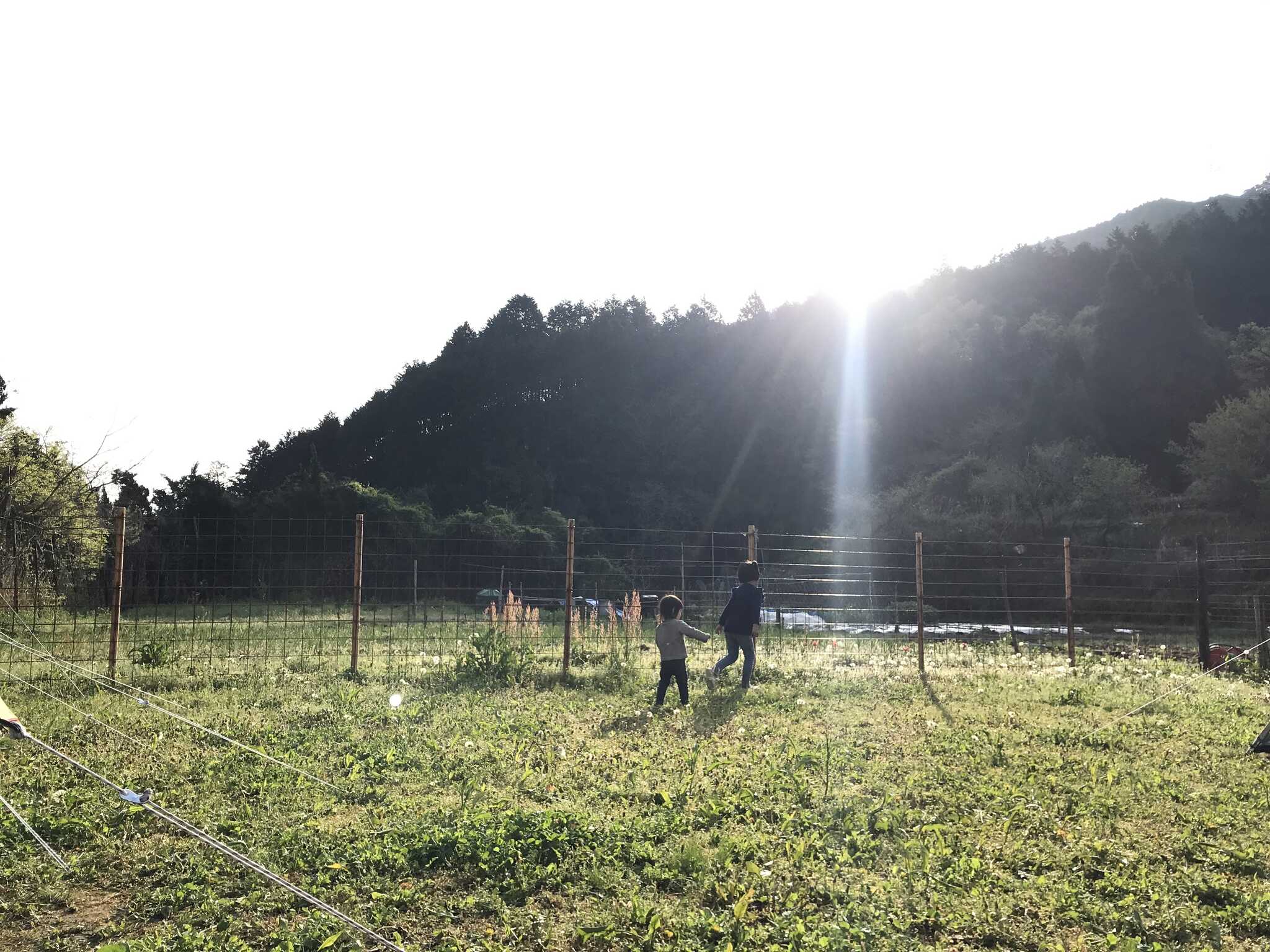 安穏農園の口コミ投稿写真
