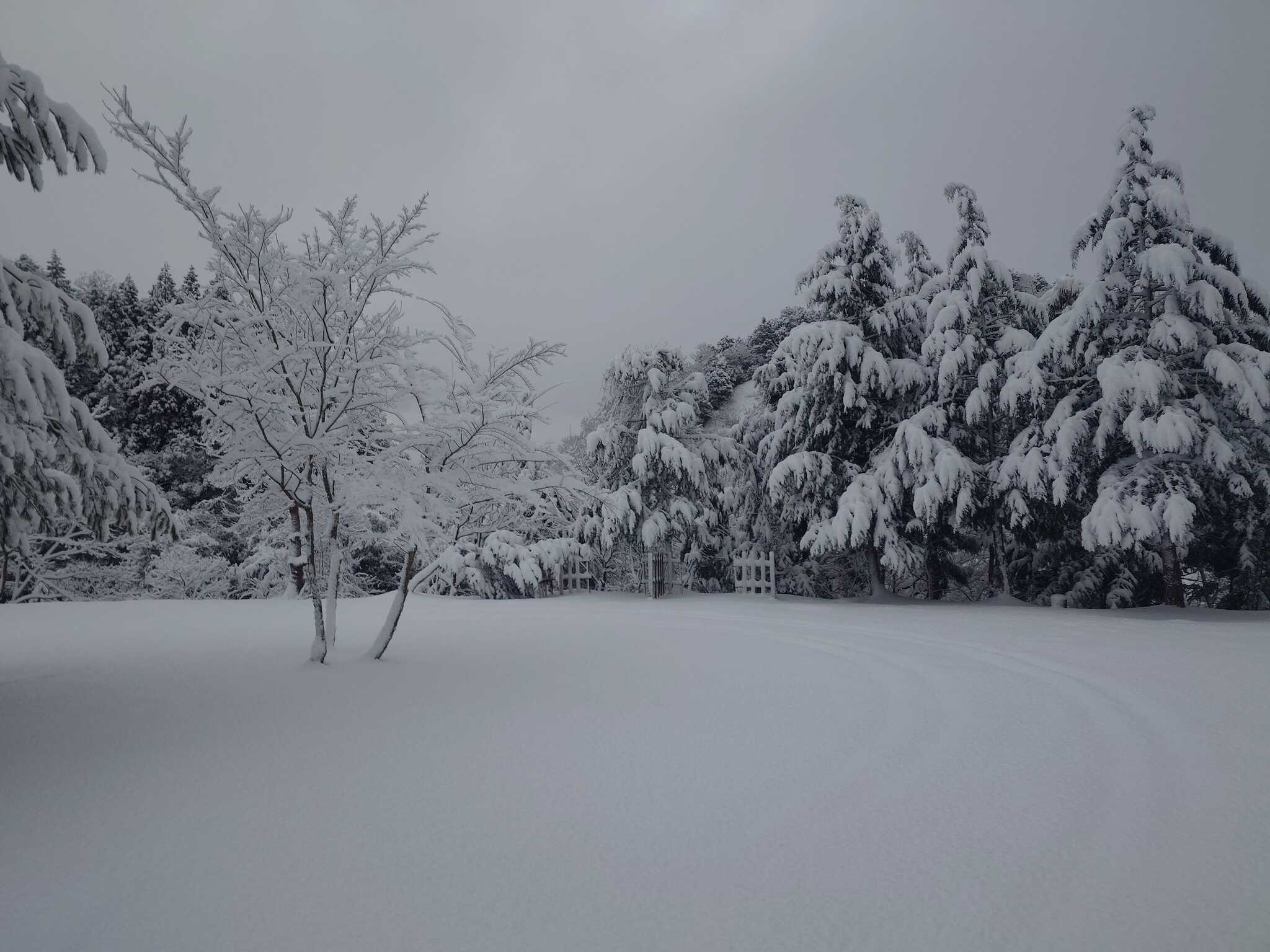 雪が積もるととても市街地に近いとは思えない景色になります