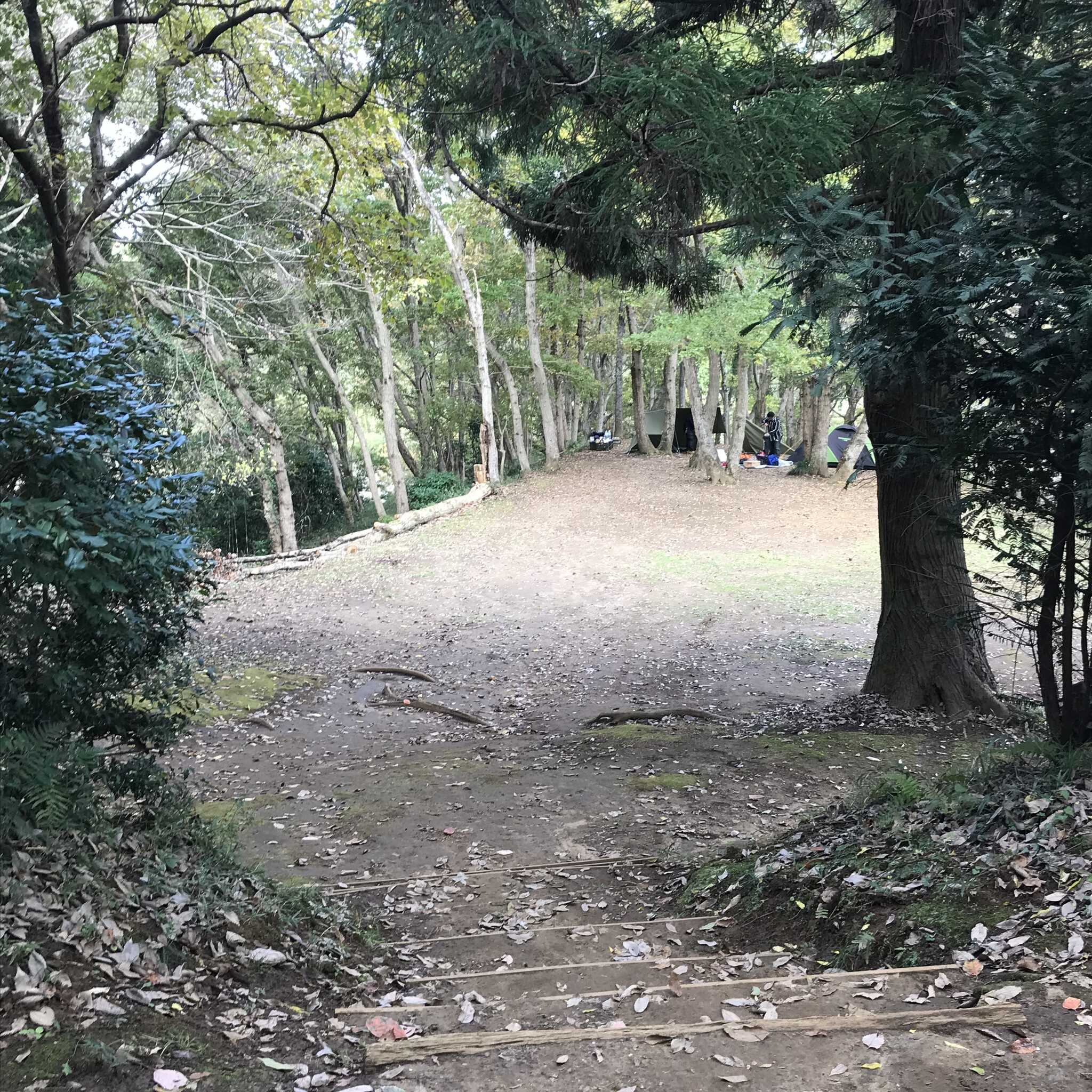 勝古沢キャンプ場の写真 3枚目