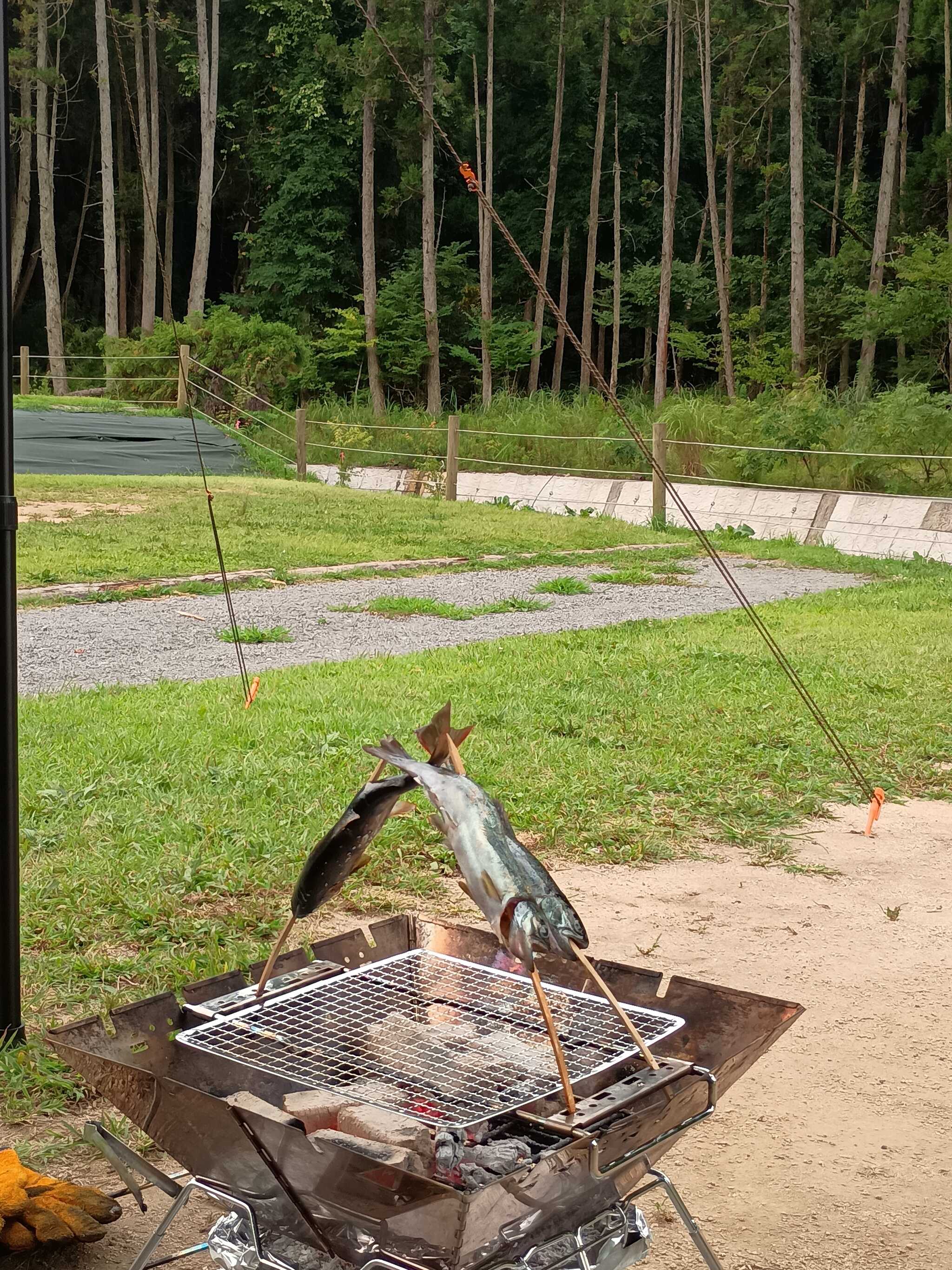 ヤマメの炭火焼き