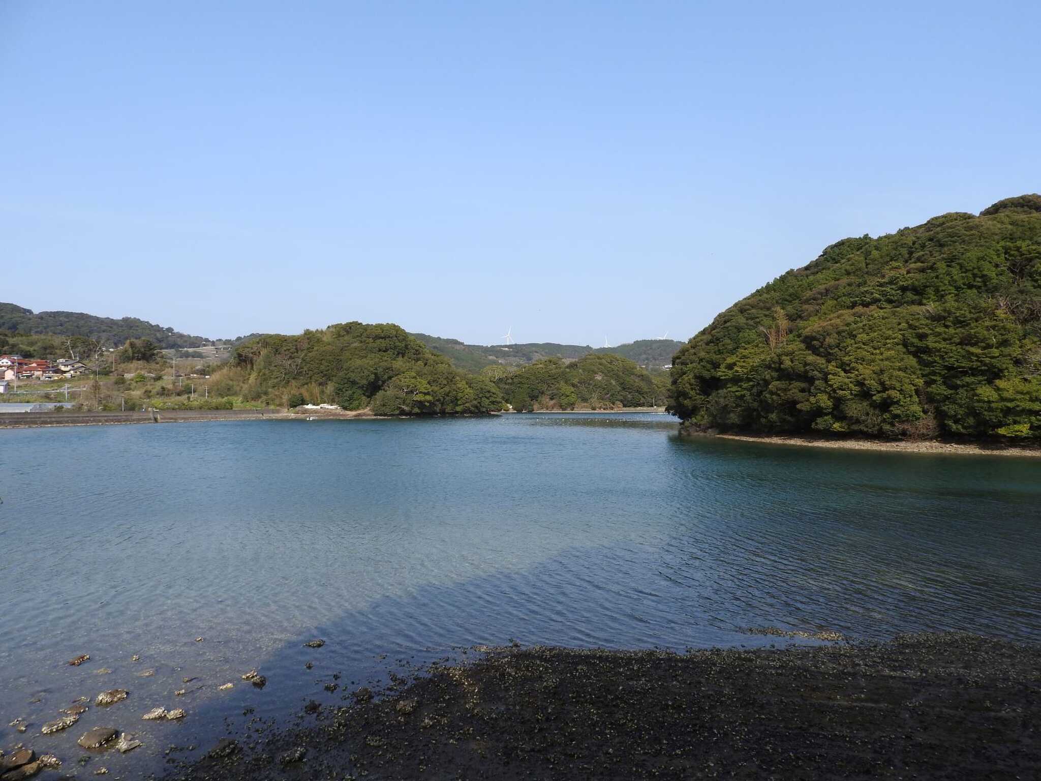 サイトすぐ横の海