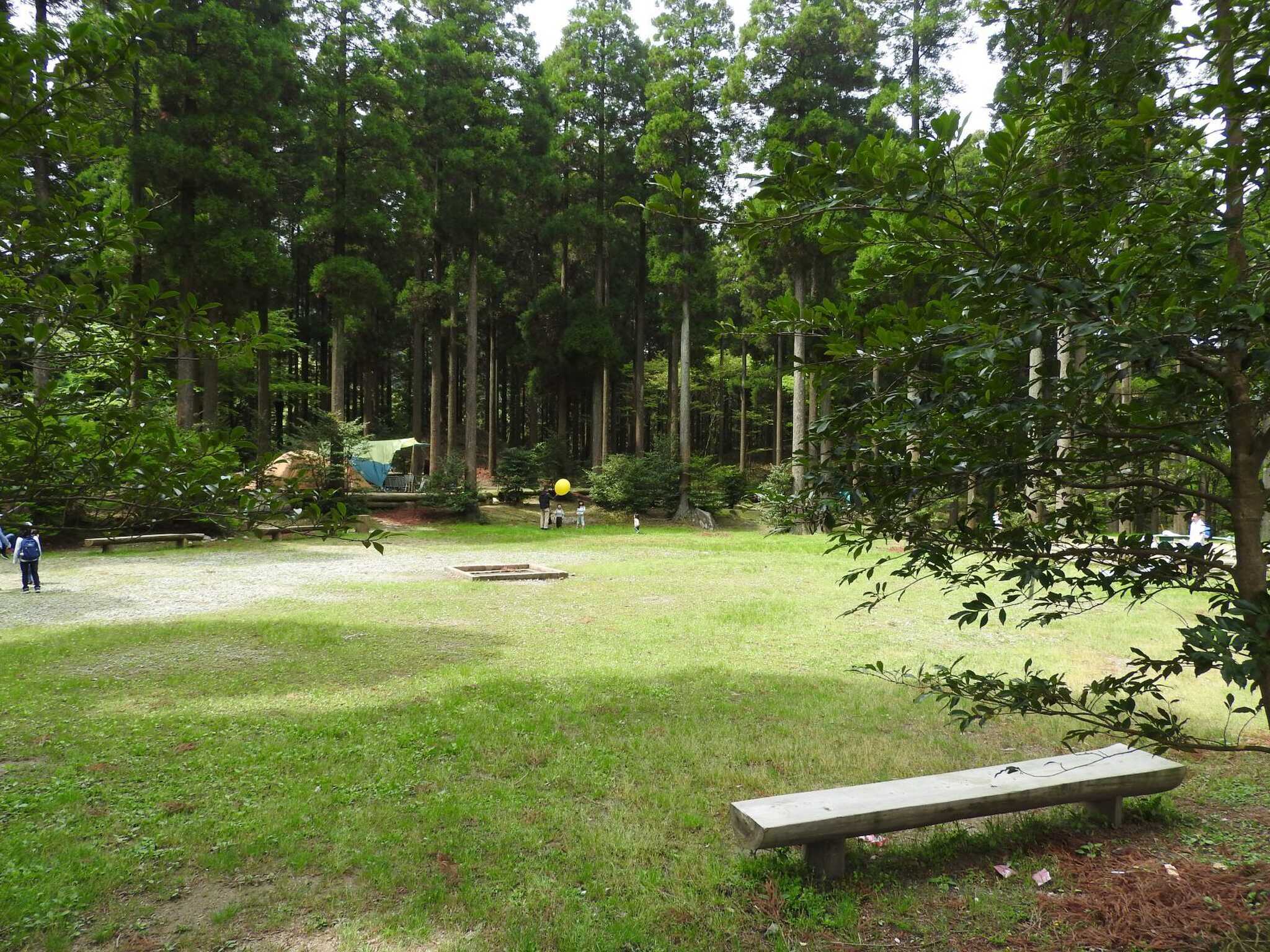 中央の芝生広場