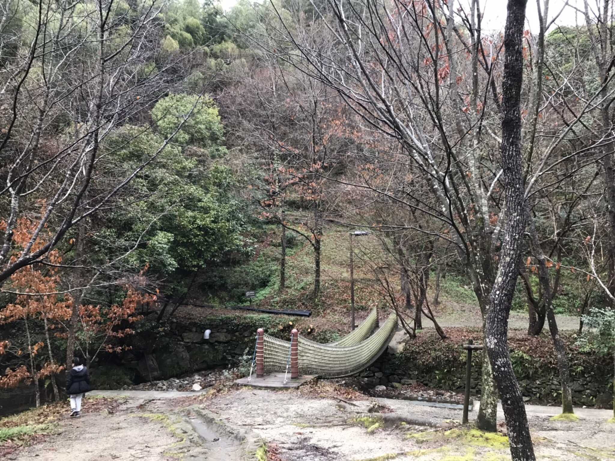 場内の吊り橋