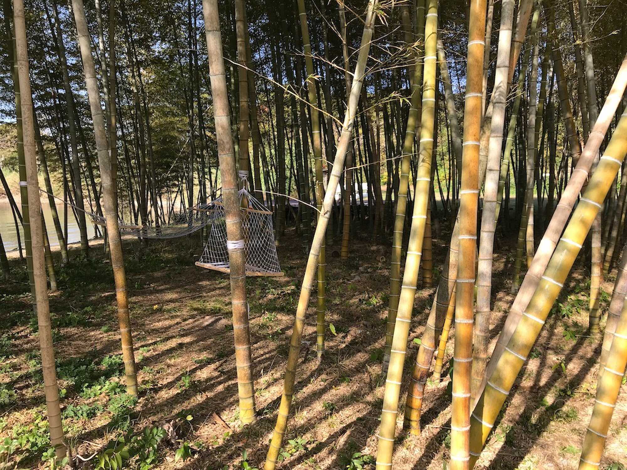 竹林
