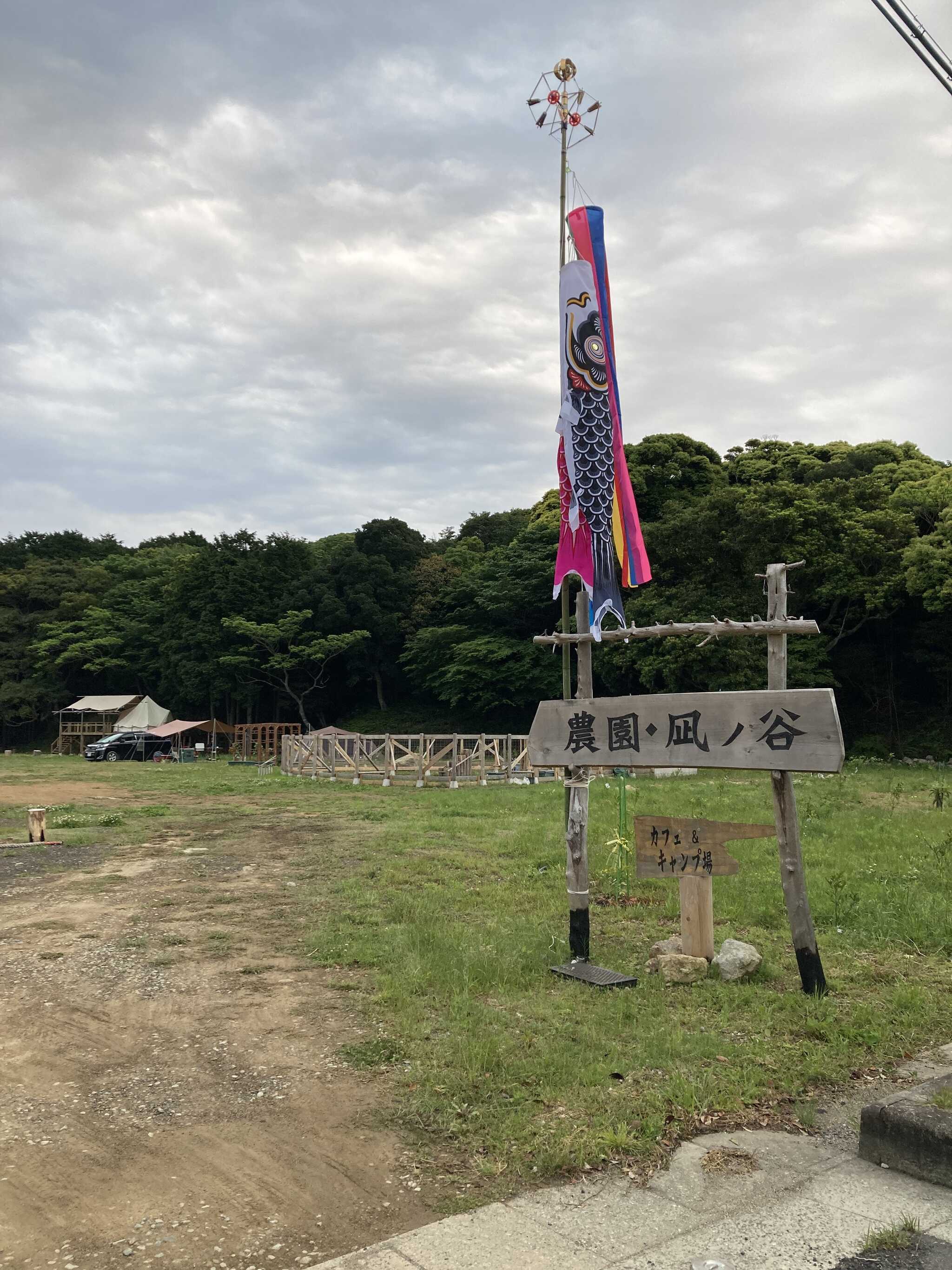 入口