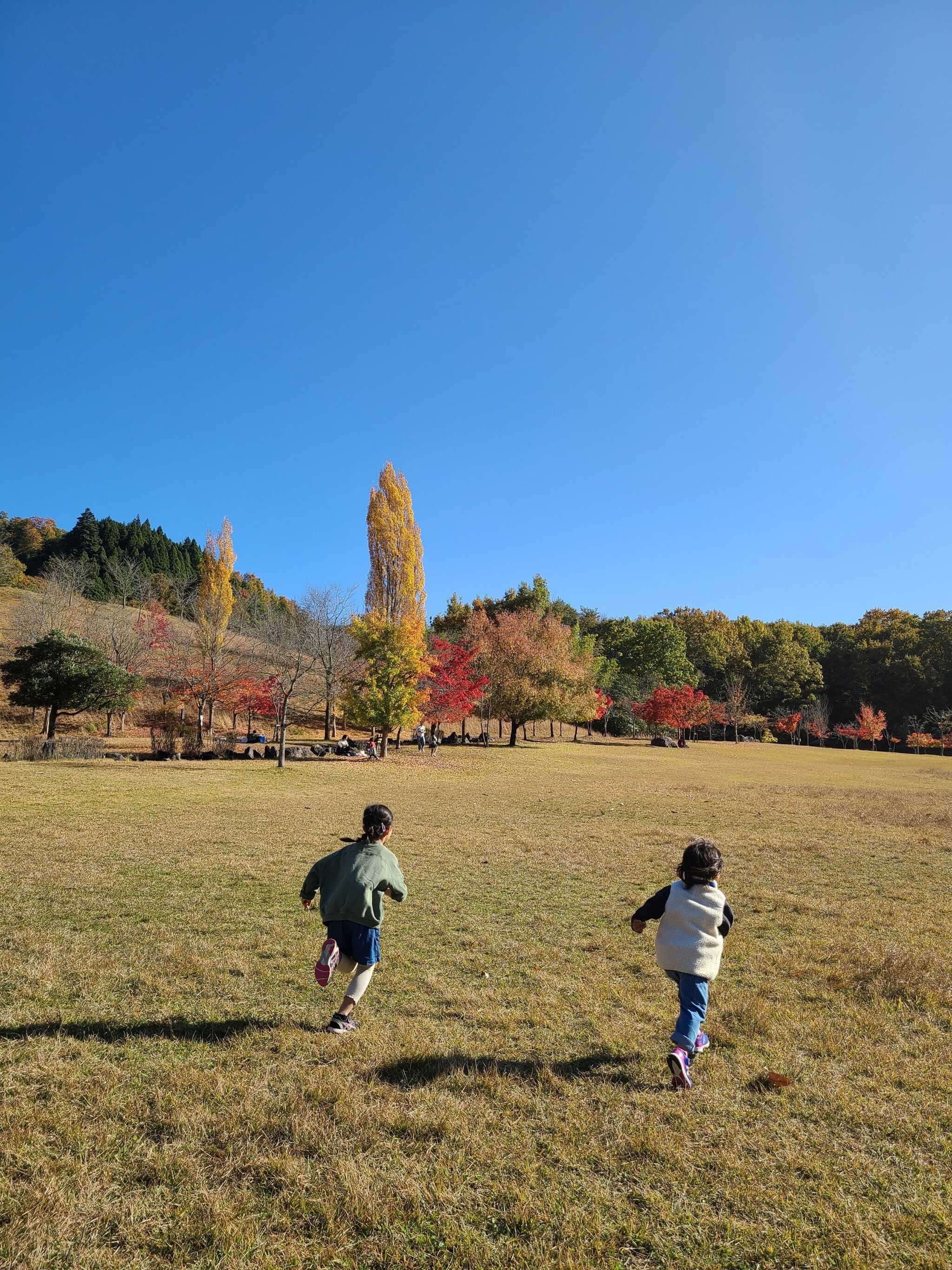 芝生もあり開放感抜群