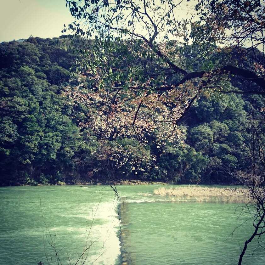 川原自然公園キャンプ場
