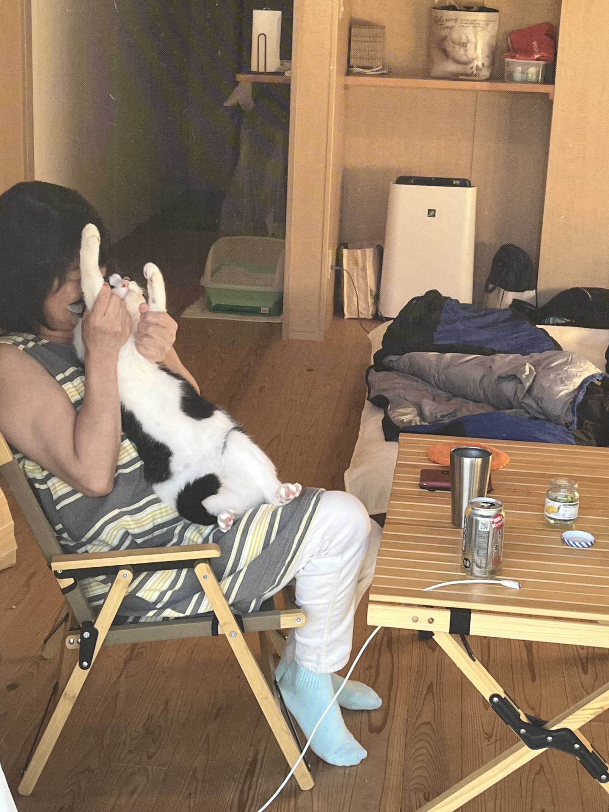 猫もまったり