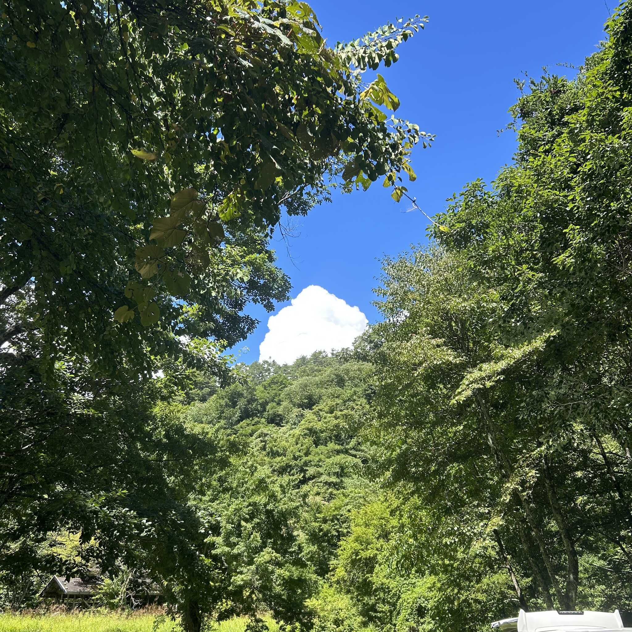 入道雲