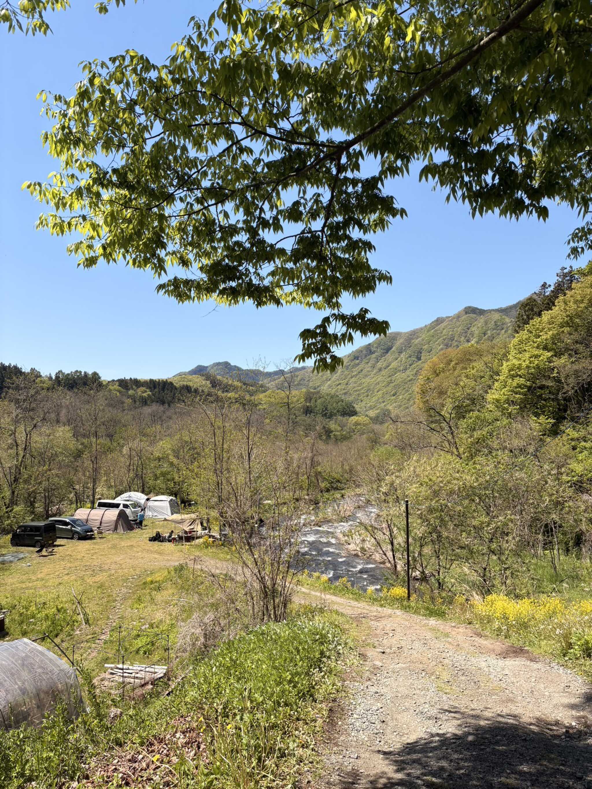 坂の上からみたオートキャンプサイトの景色です