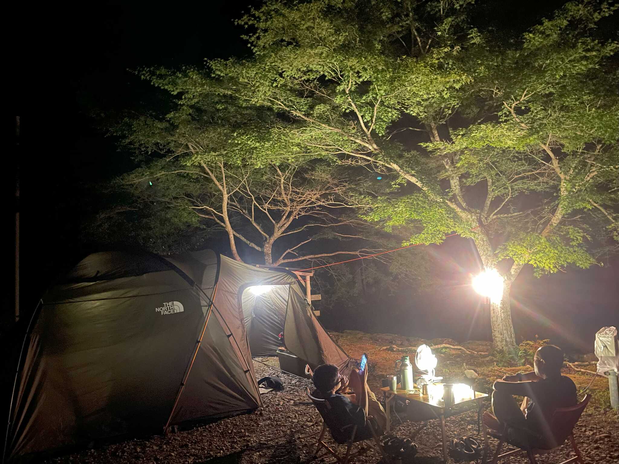 夏の夜のとばりもよかったです