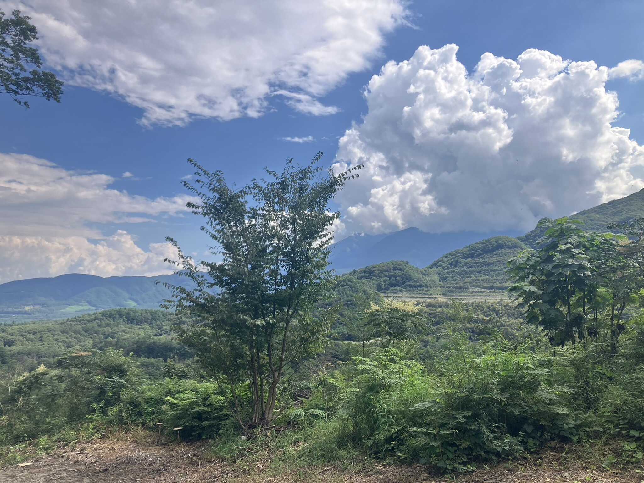 サイトからの絶景