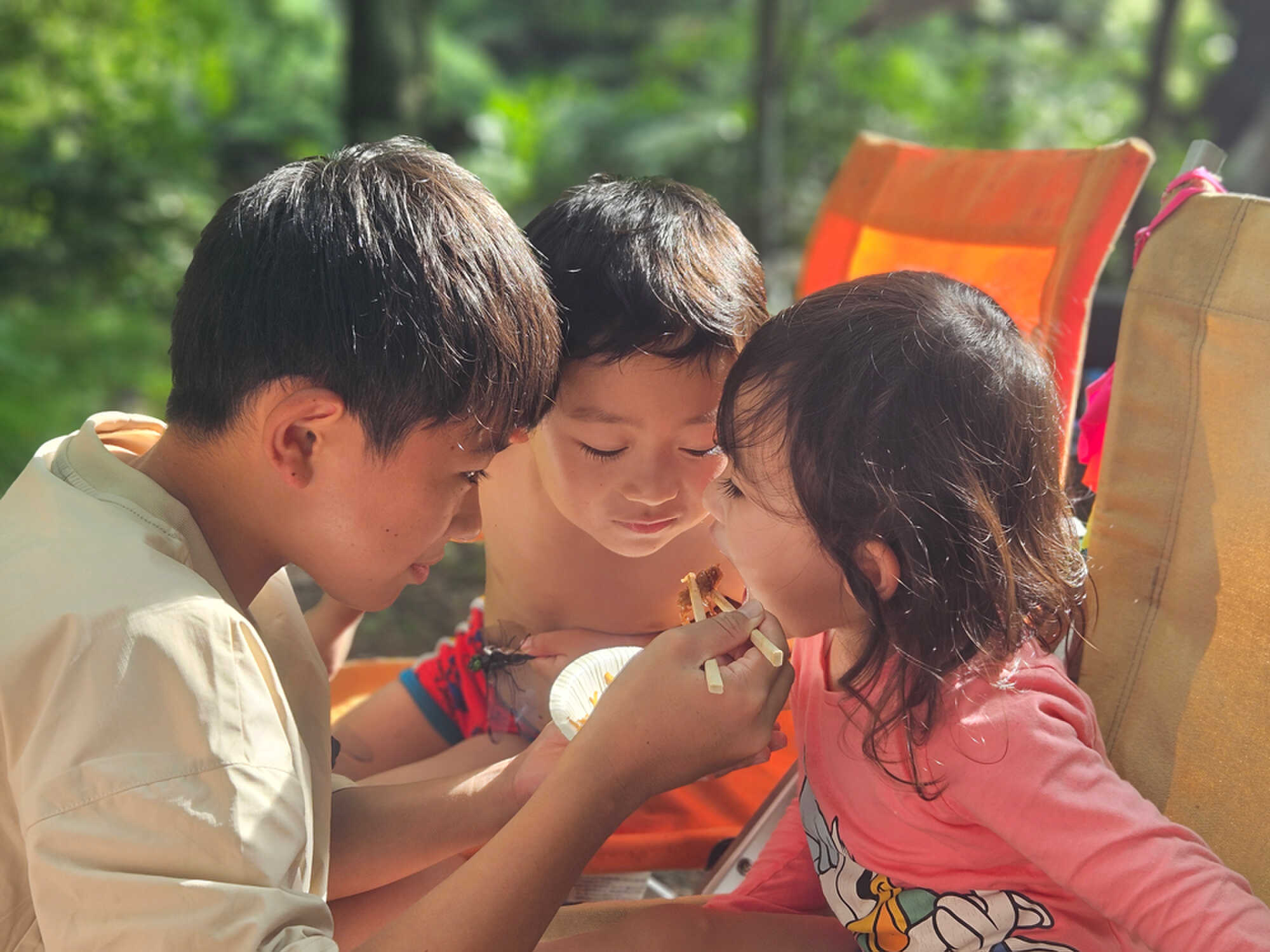 子供たちも楽しめます