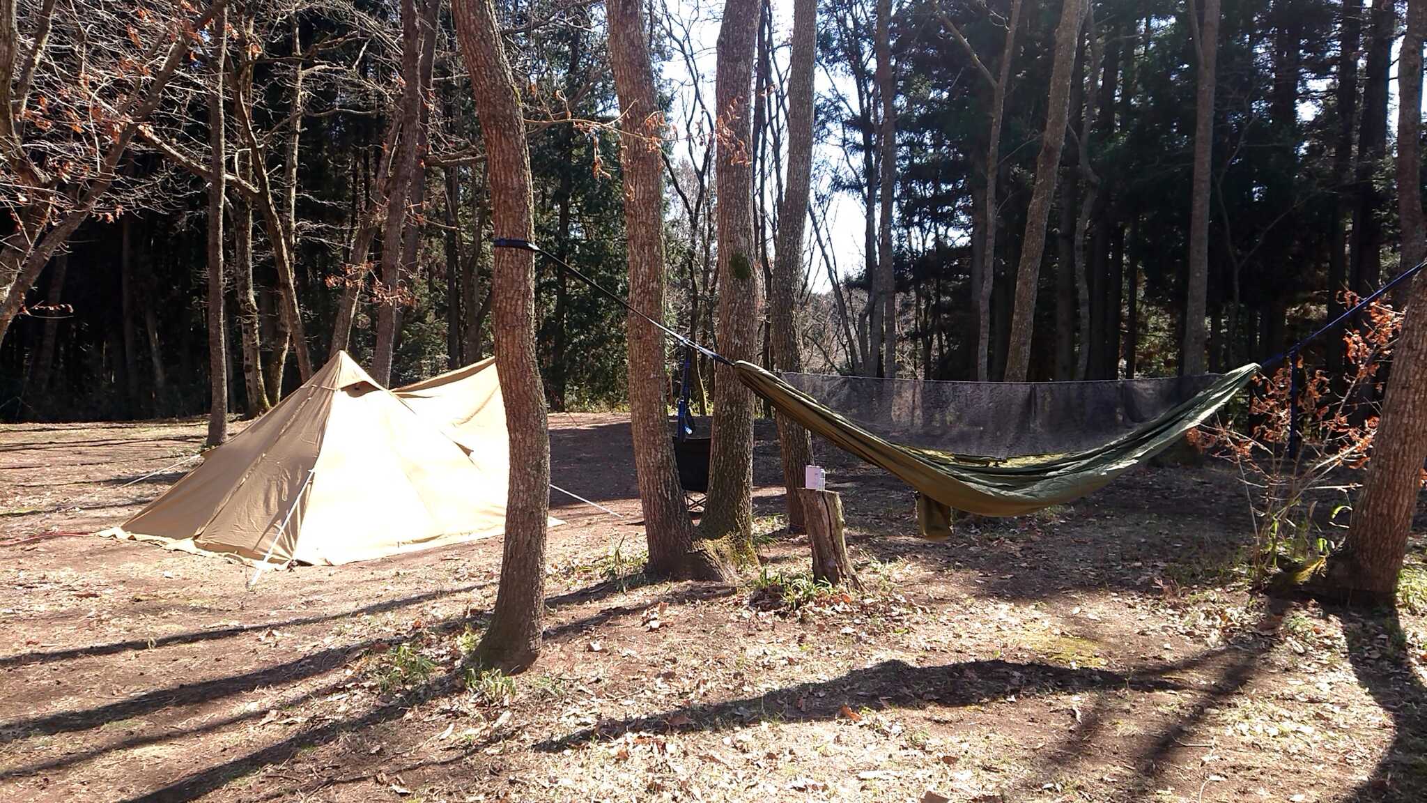 テントとハンモック