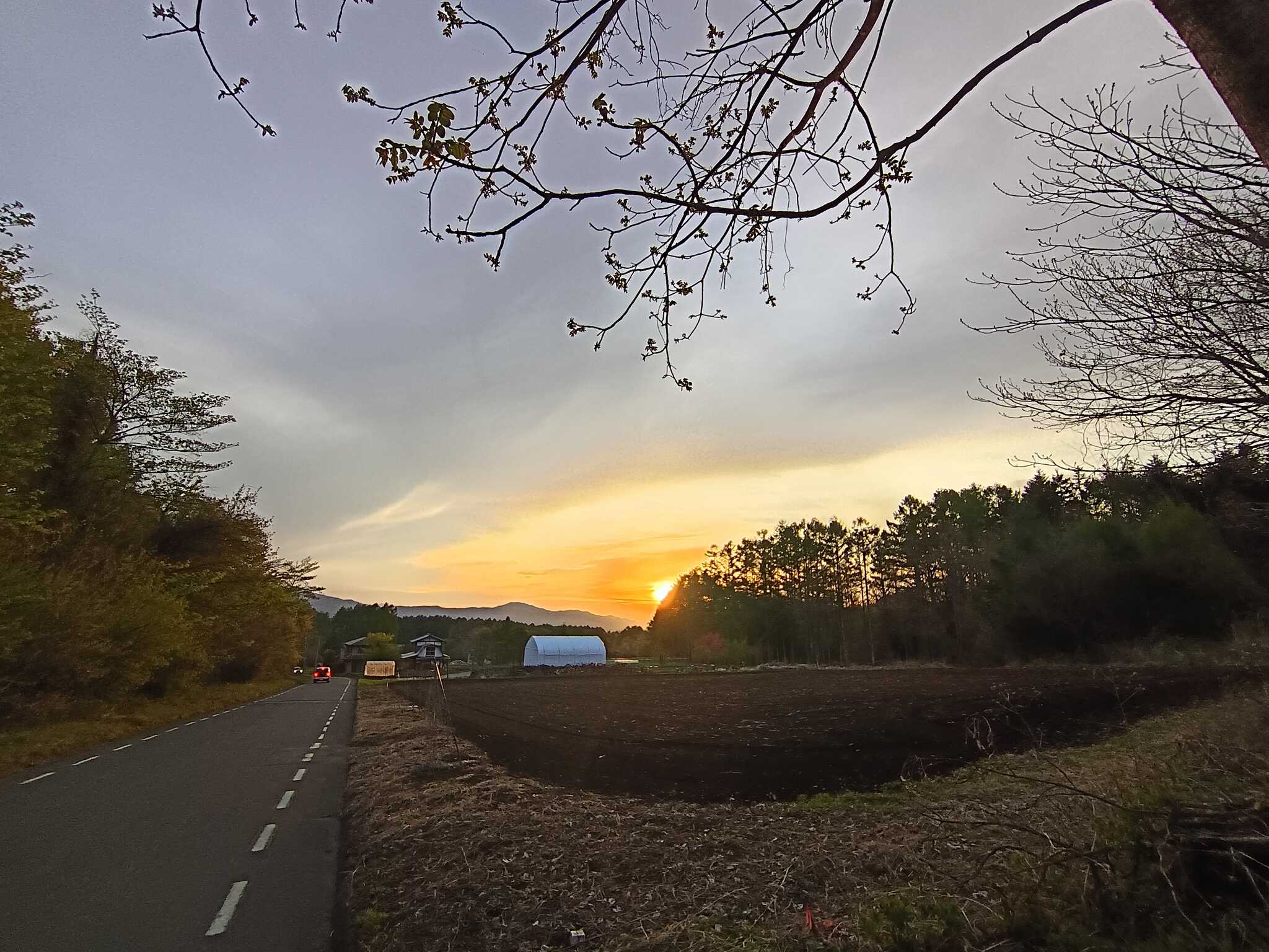 車道側と夕焼け