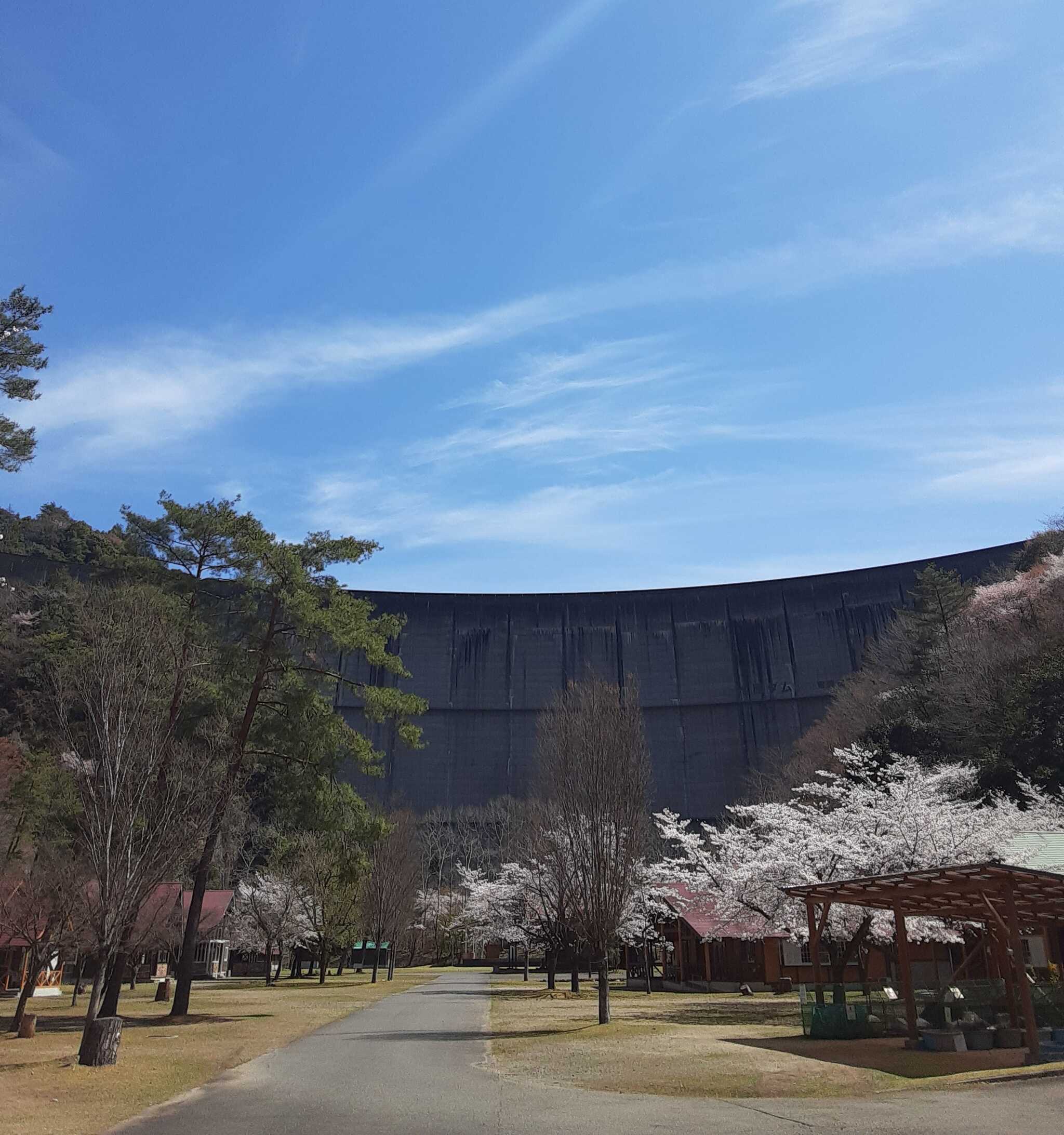 場内全景